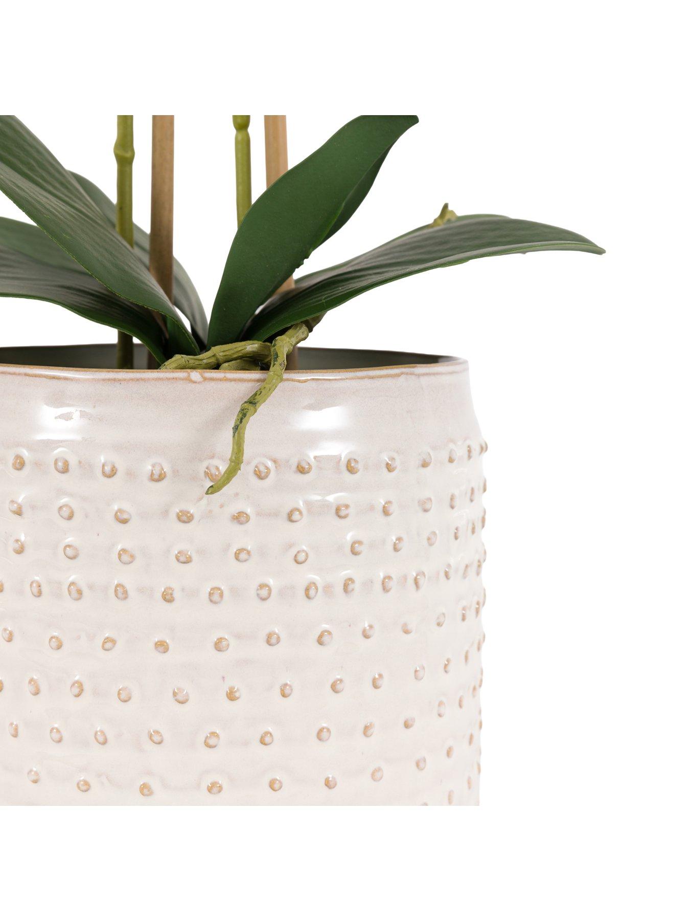  image of gallery-direct-willow-stems-in-ceramic-vase