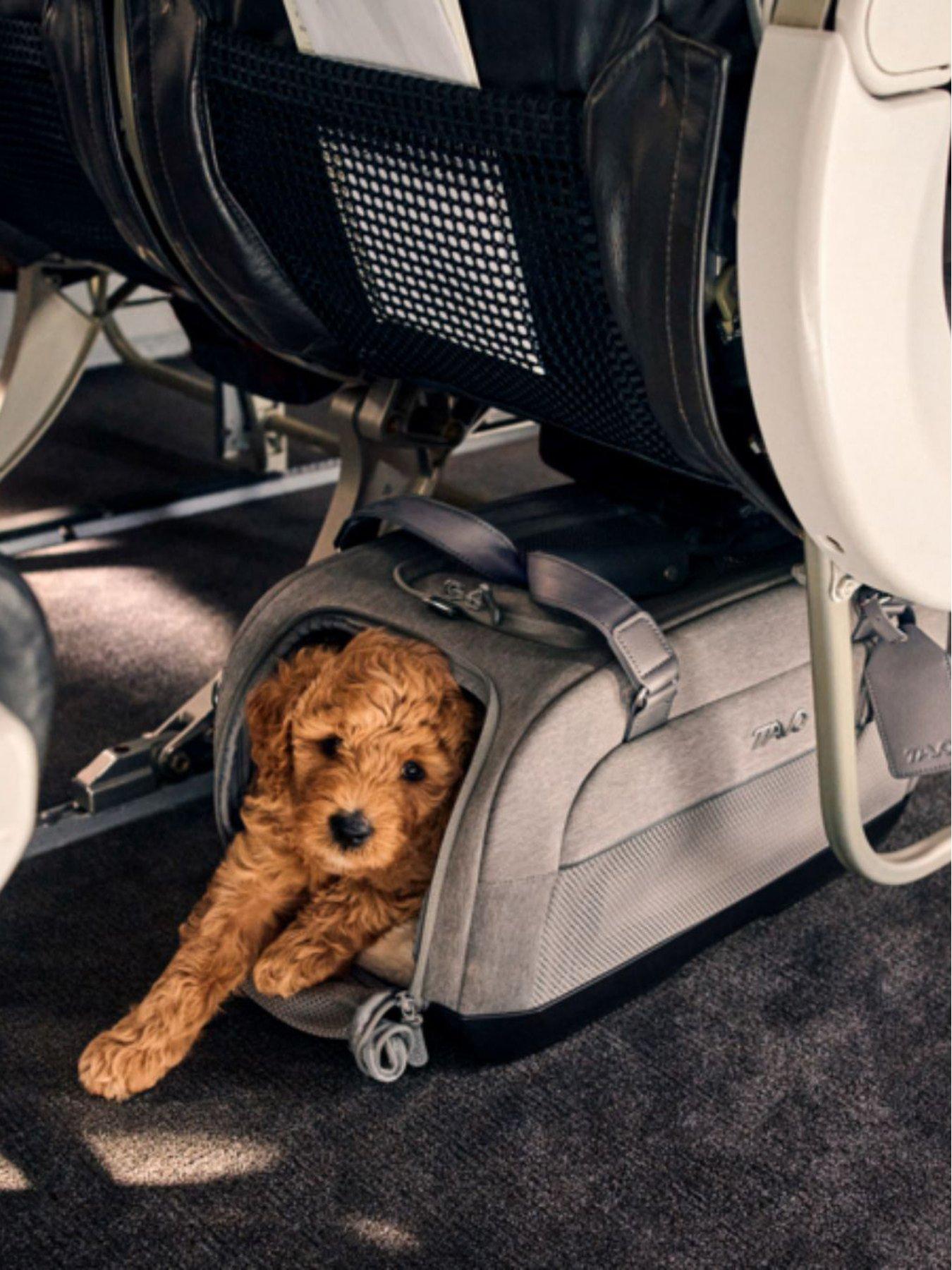 Tavo Dupree Airline Carry-On Pet Car Seat Merle