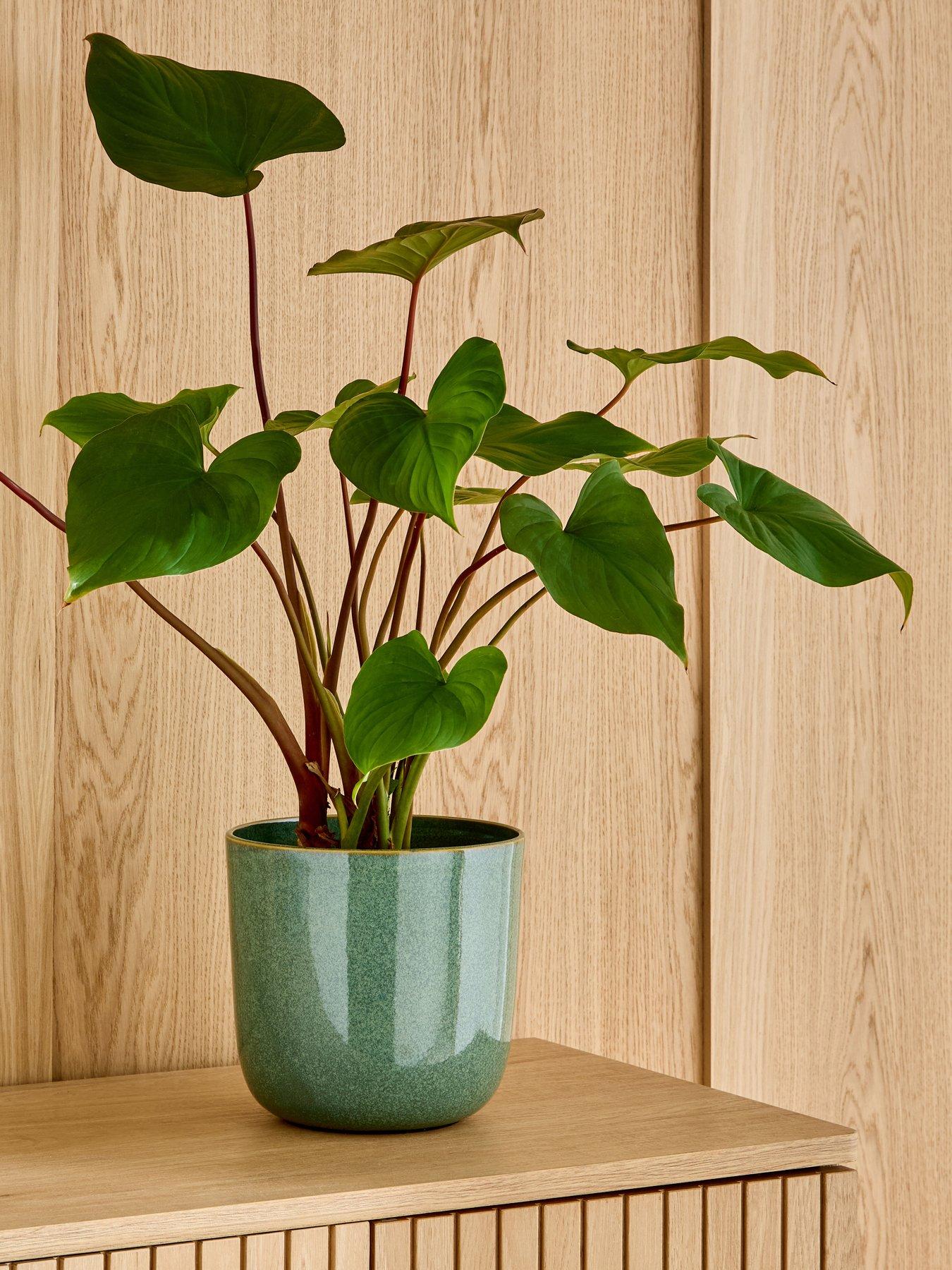 The Very Collection Reactive Glaze Planter - Green