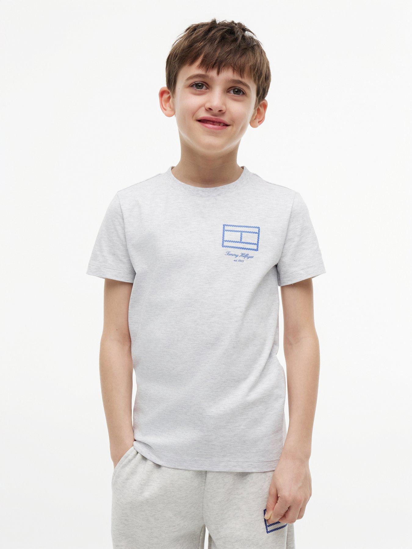 Image 1 of 7 of Tommy Hilfiger Outline Flag Logo Jersey T-Shirt - Light Grey Heather