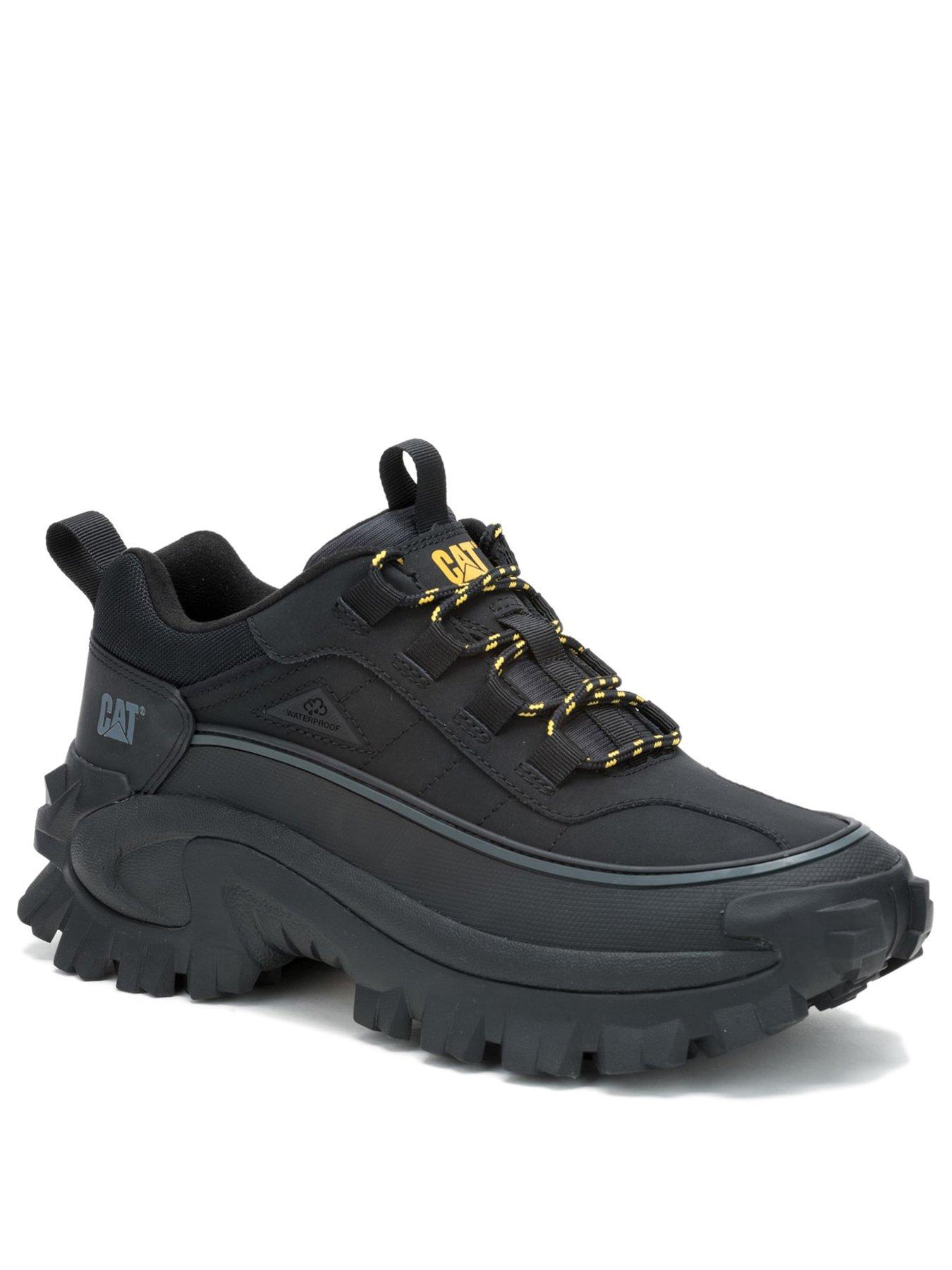  image of cat-cat-intruder-galosh-20-trainer