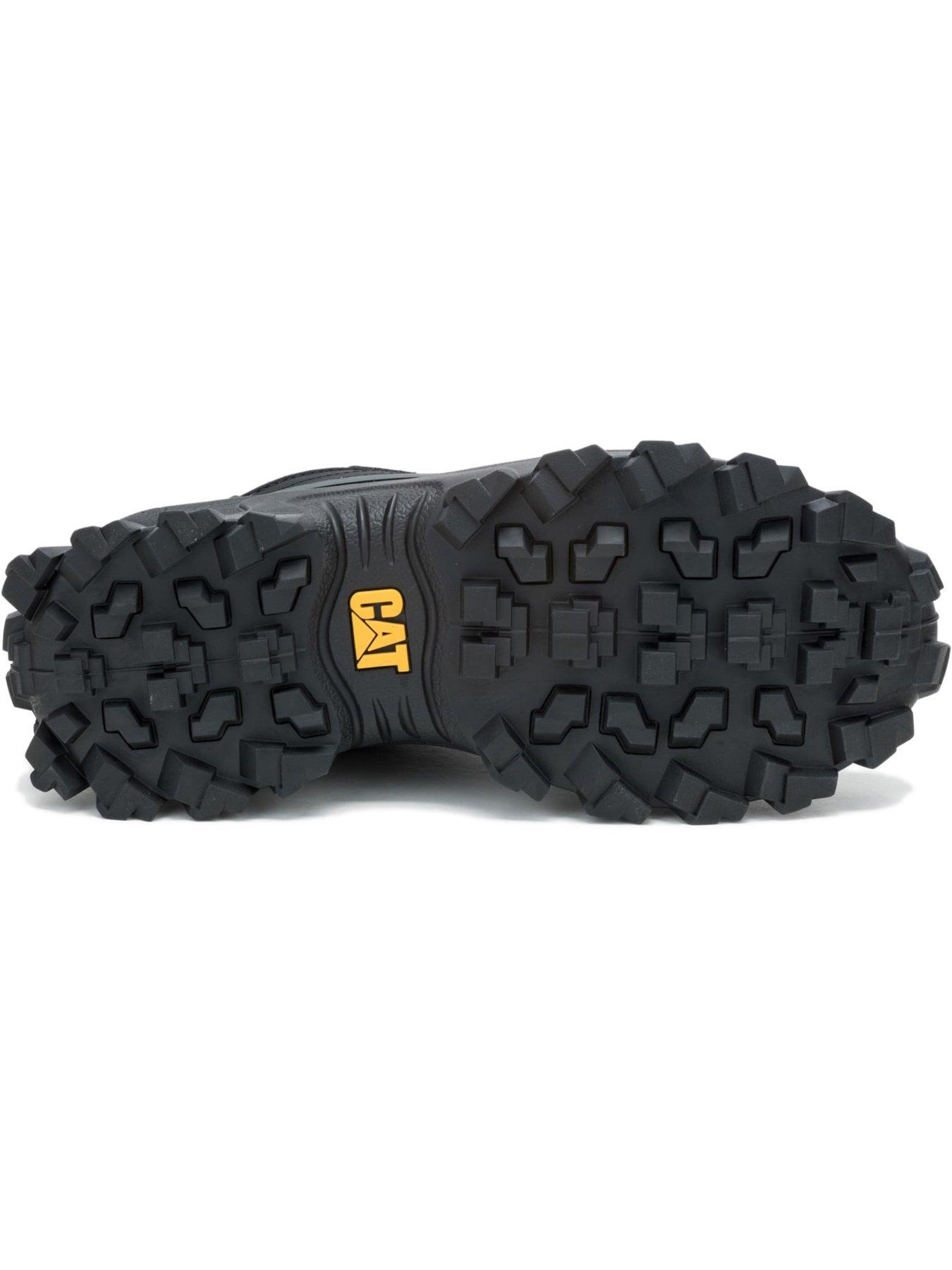  image of cat-cat-intruder-galosh-20-trainer