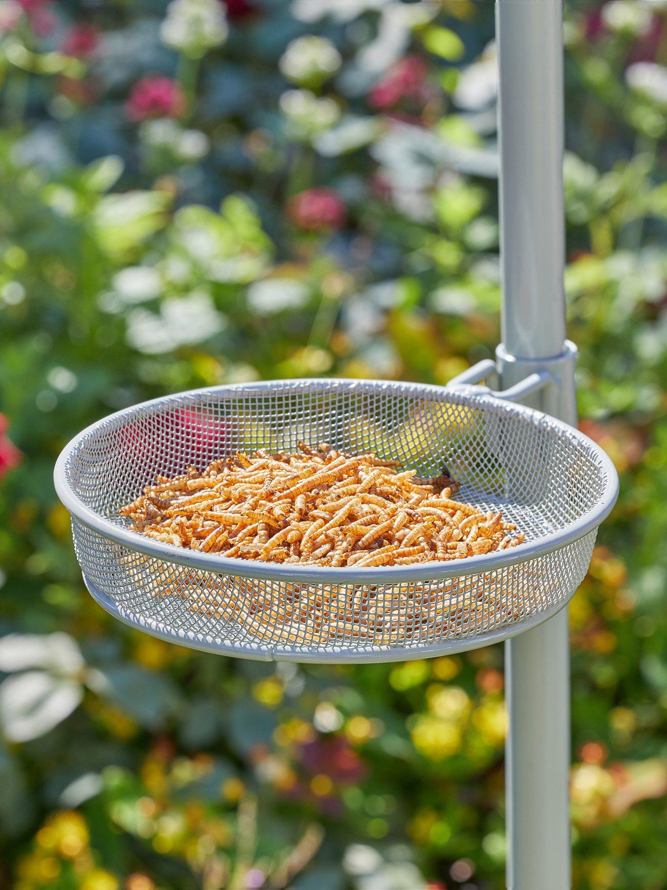  image of smart-garden-wild-willow-bird-feeding-station