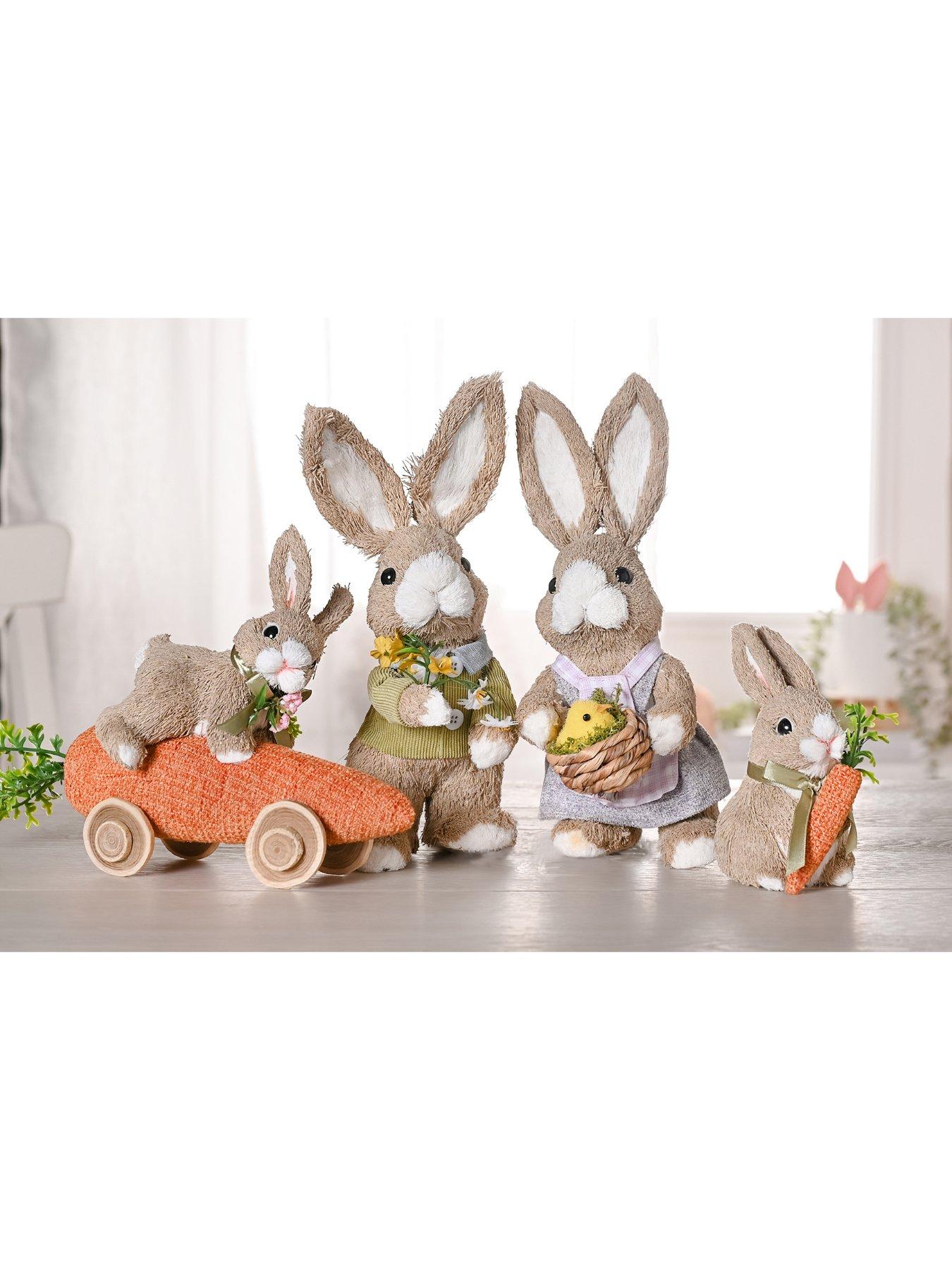  image of bristle-bunny-riding-carrot-car