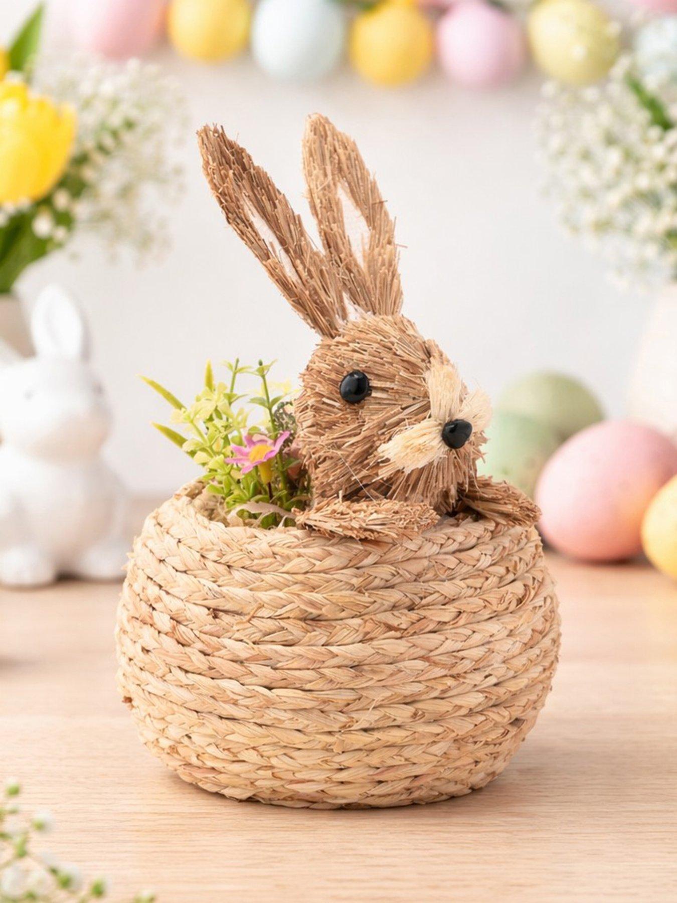  image of bristle-bunny-in-a-basket