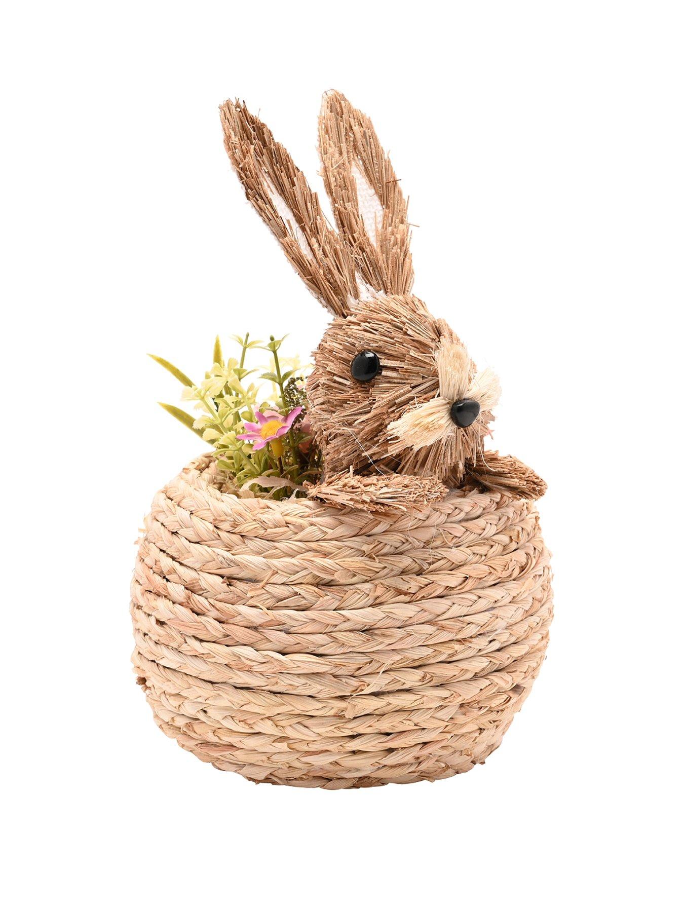  image of bristle-bunny-in-a-basket