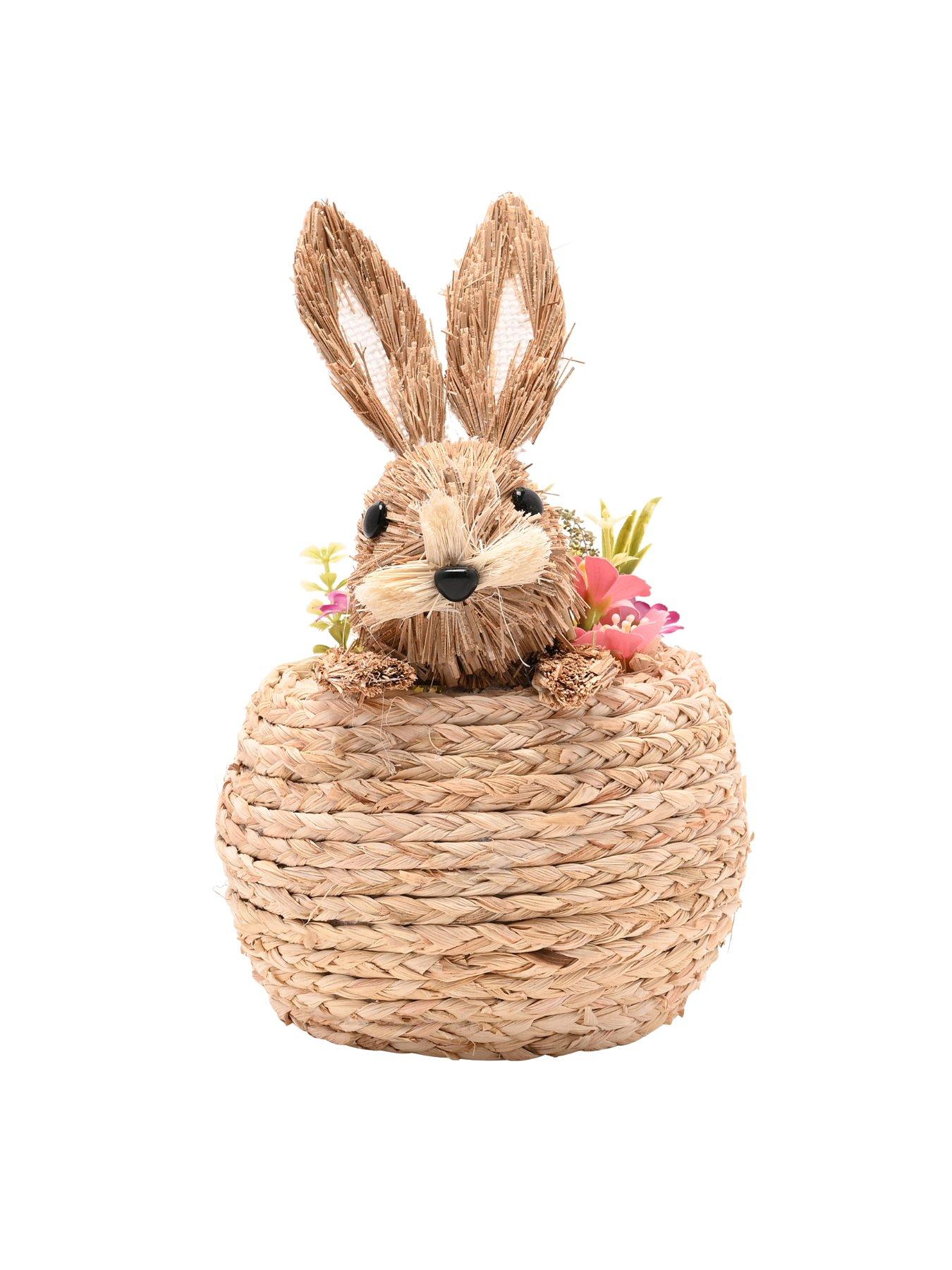  image of bristle-bunny-in-a-basket