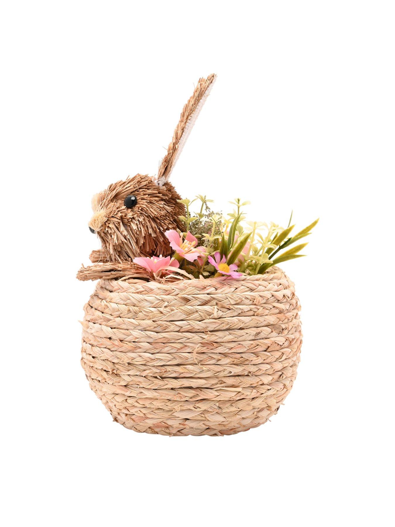  image of bristle-bunny-in-a-basket