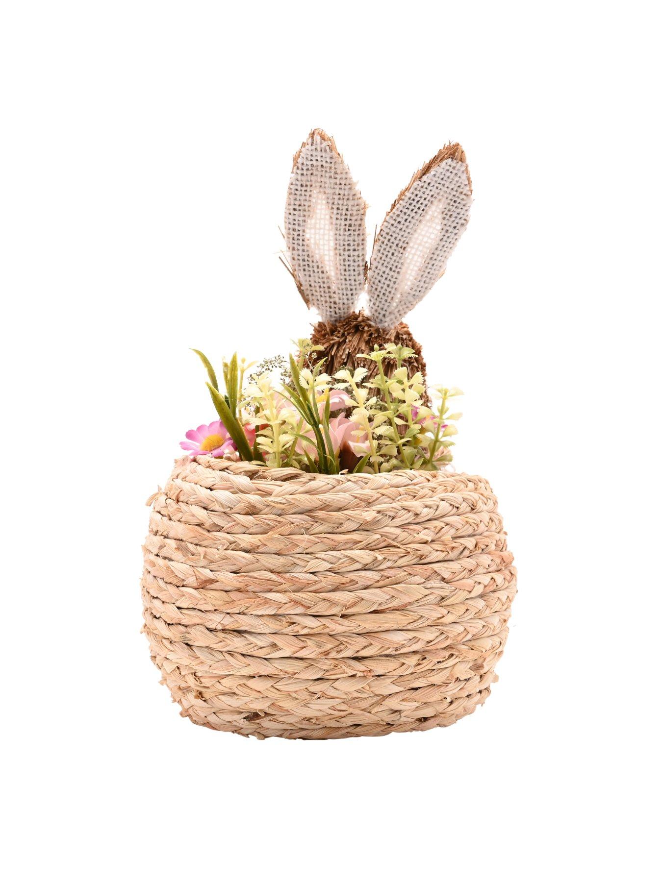  image of bristle-bunny-in-a-basket