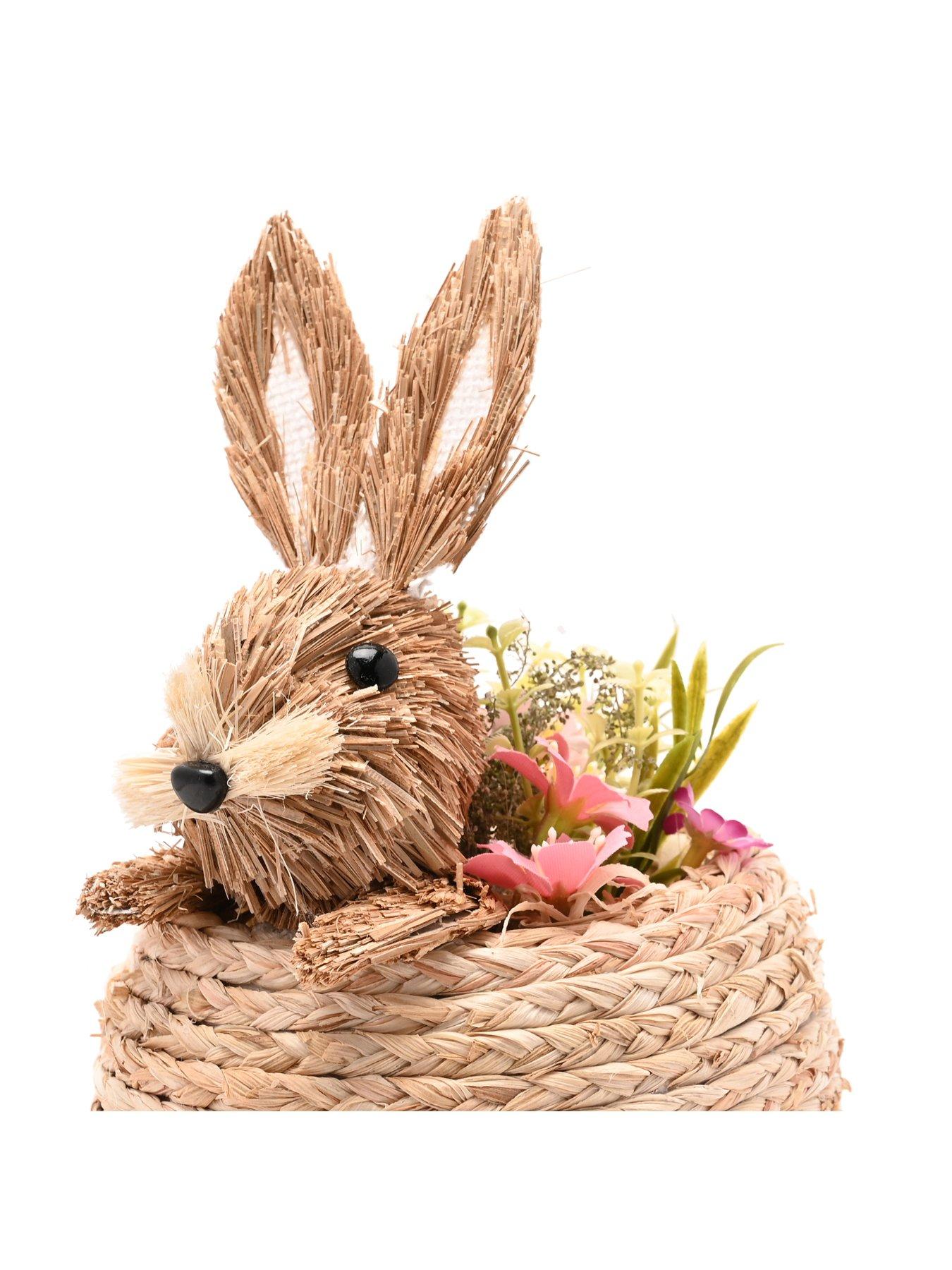  image of bristle-bunny-in-a-basket
