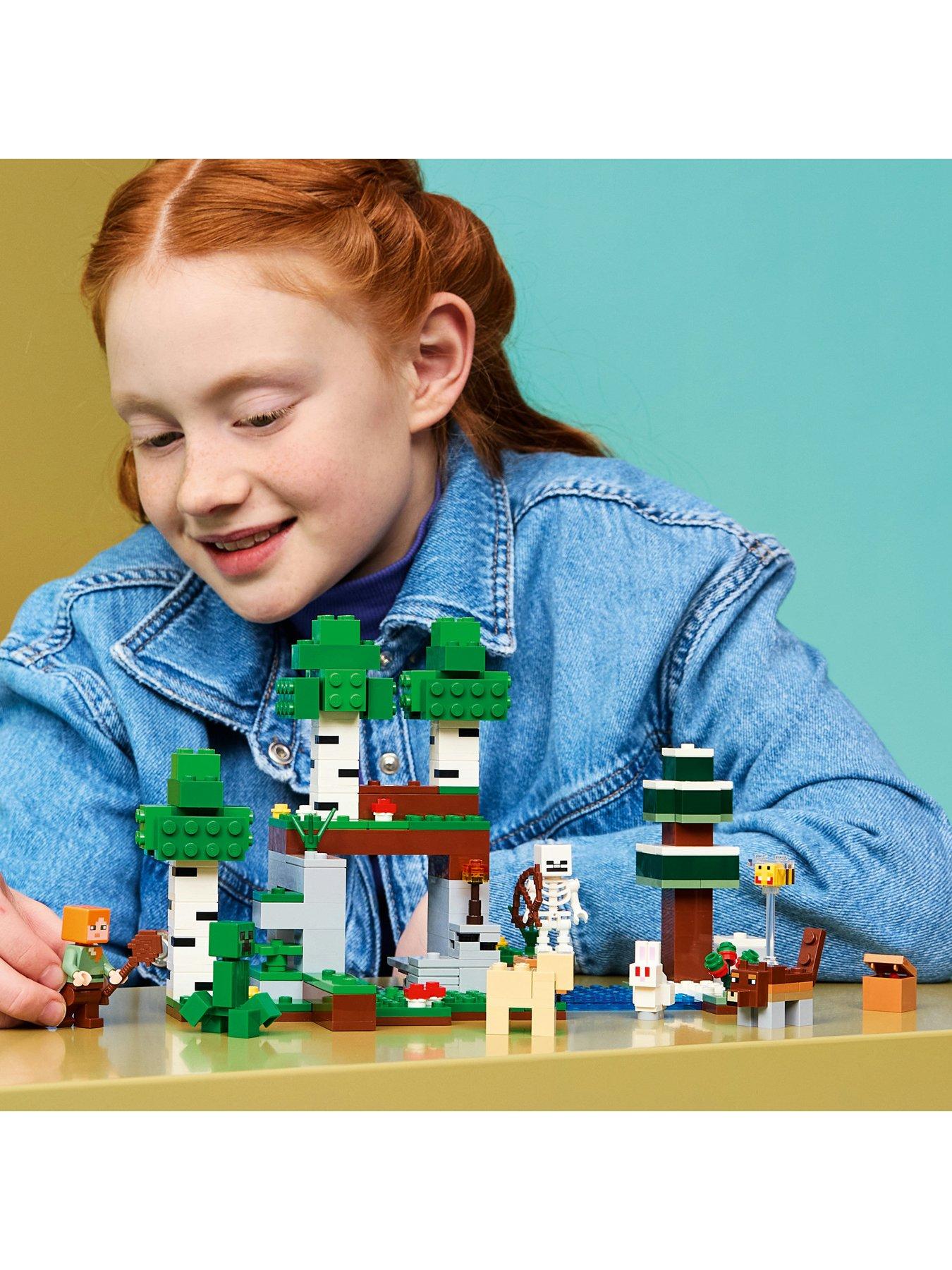 Image 6 of 8 of LEGO Minecraft First Night Adventure Toy 21593