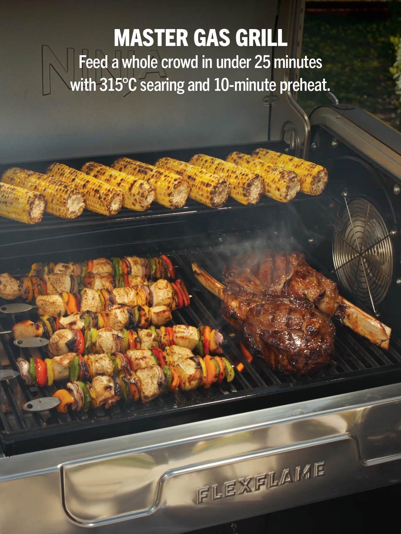 Image 3 of 7 of NINJA FlexFlame Gas BBQ &amp; Outdoor Cooking System - PG301UK