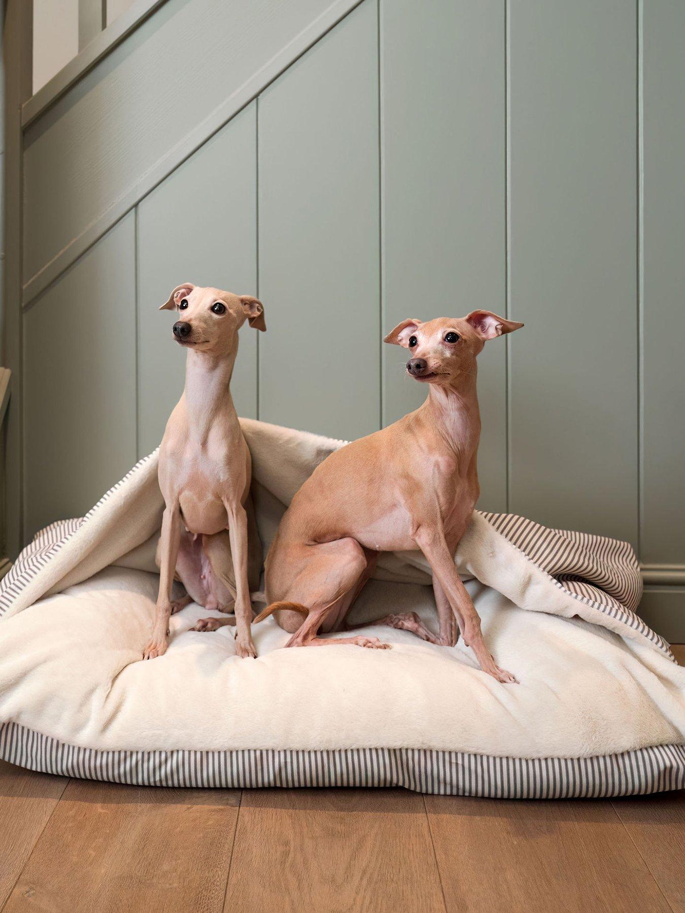 Image 1 of 6 of Lords and Labradors L&amp;L Sleepy Burrows Regency Stripe L