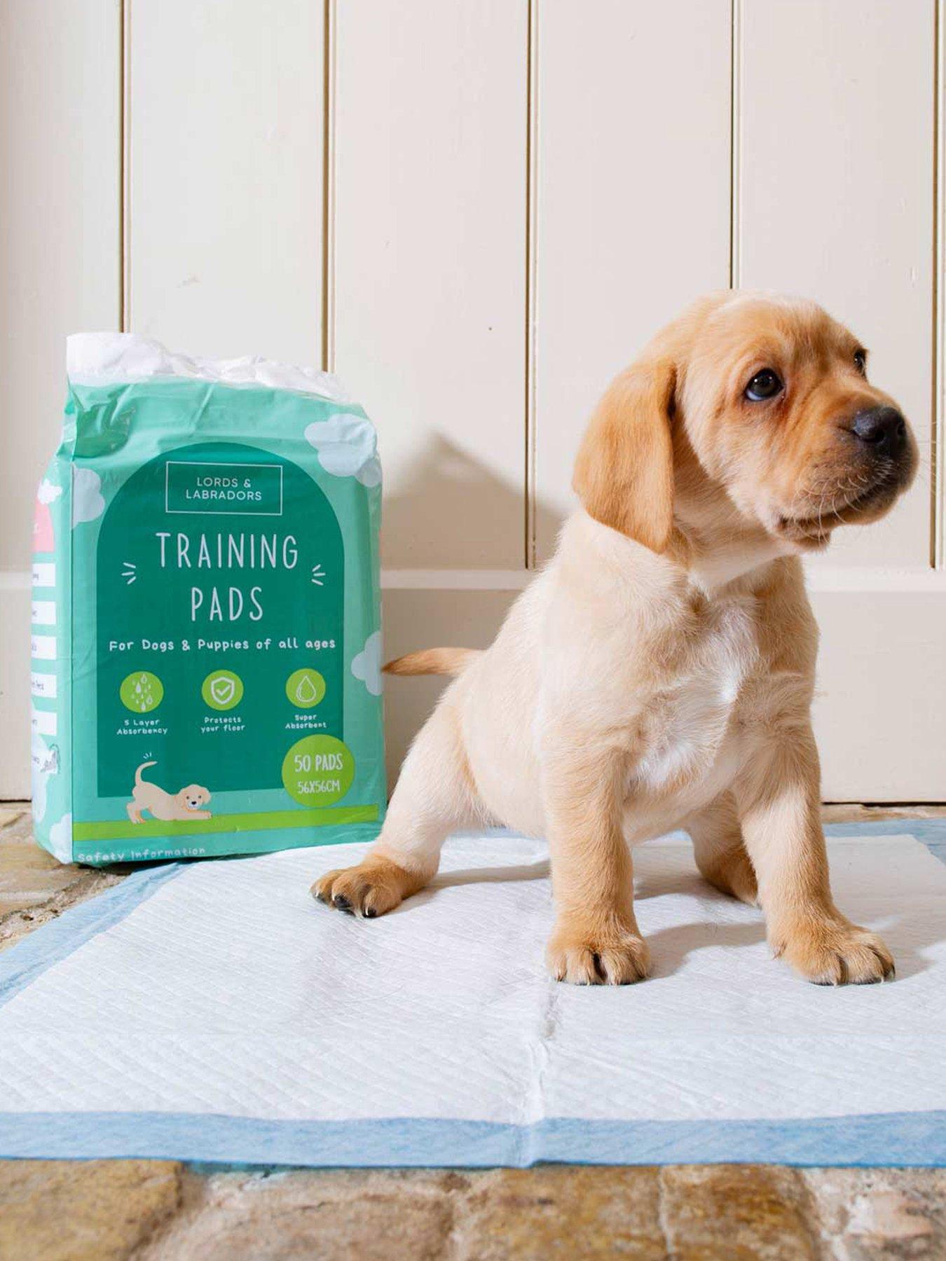 Lords and Labradors Puppy training pads