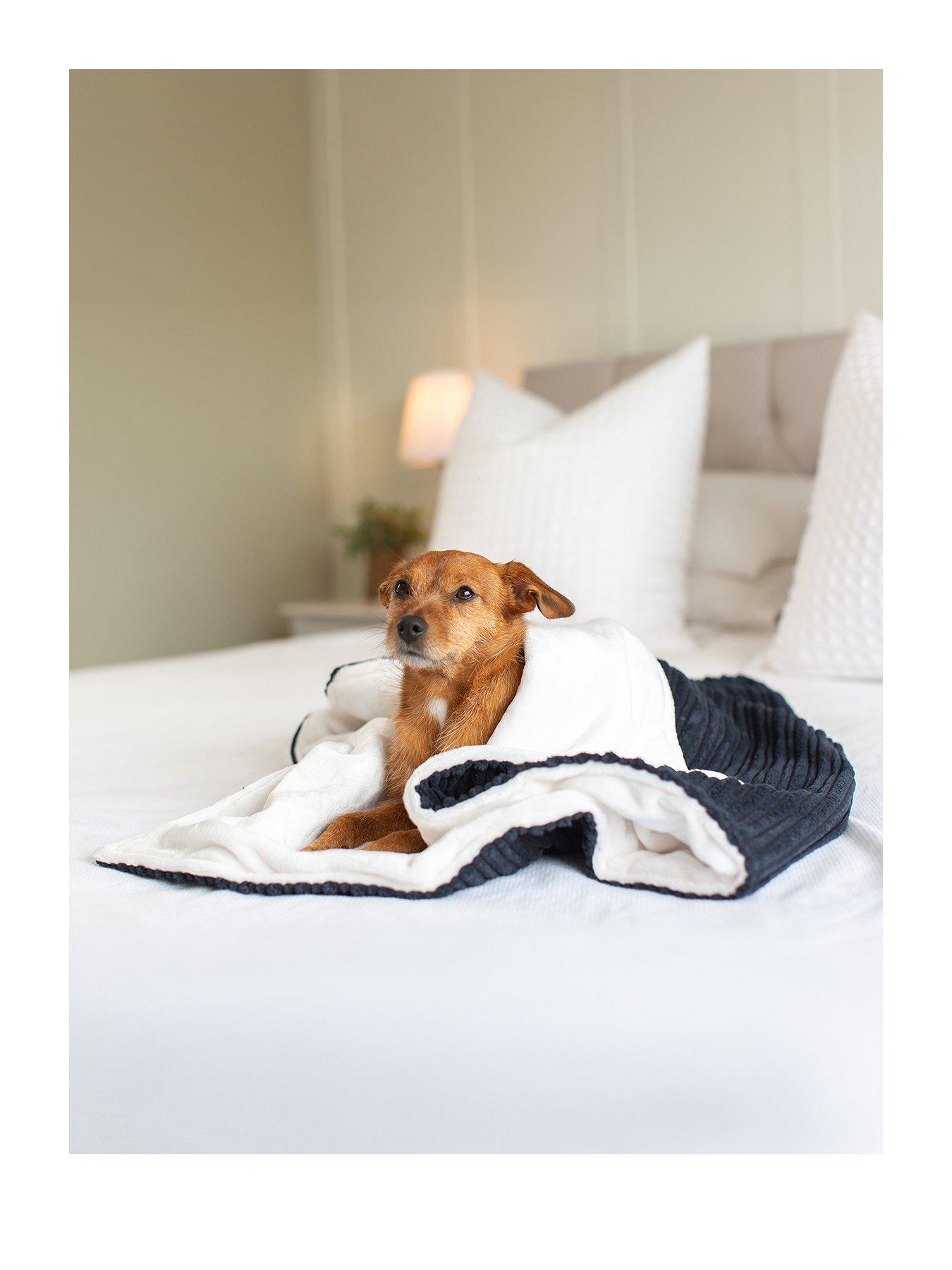 Lords and Labradors L & L Essentials Blanket Navy L