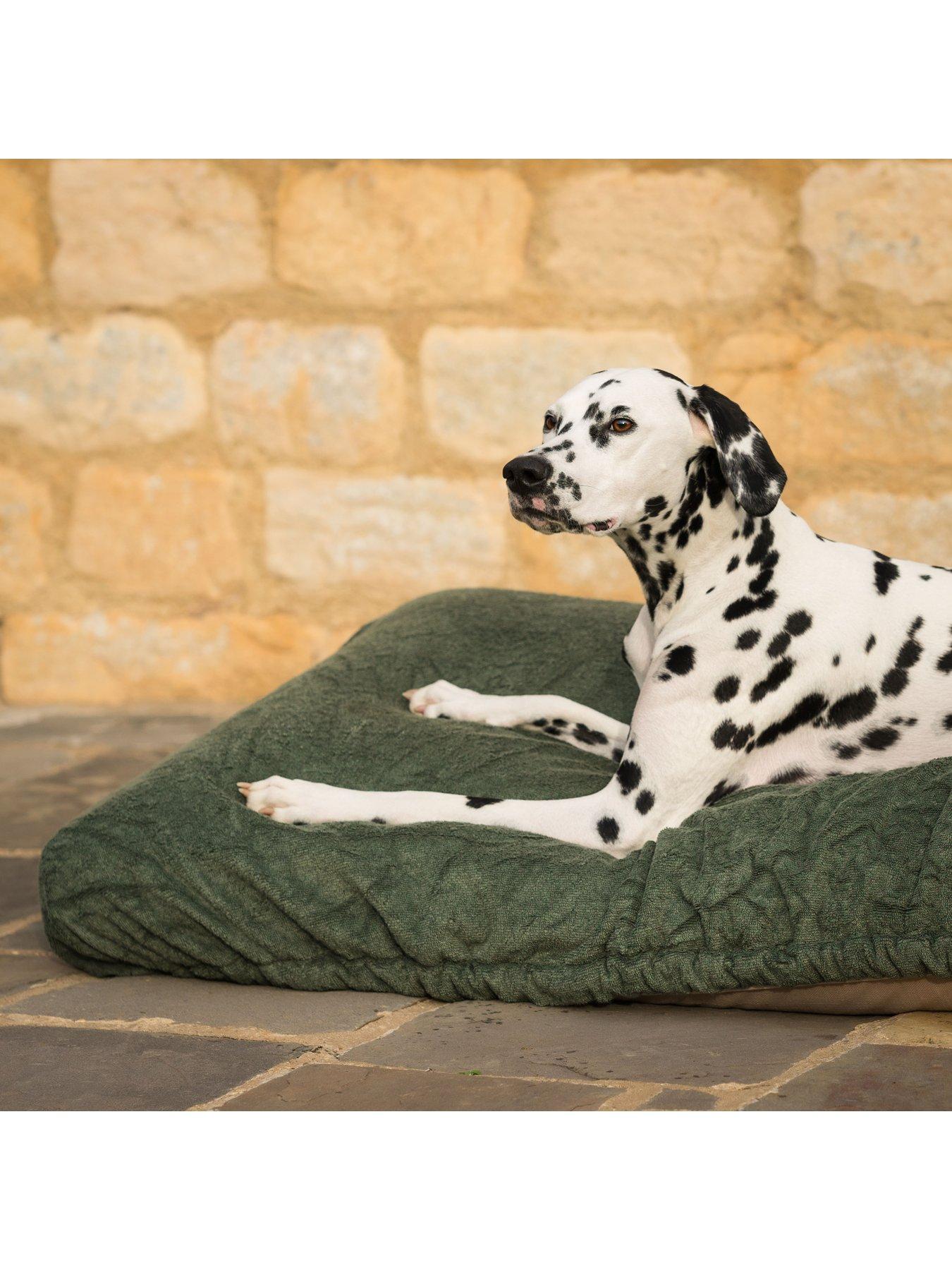 Image 2 of 3 of Lords and Labradors Bamboo Drying Cushion Cover in Fir by Lords &amp; Labradors