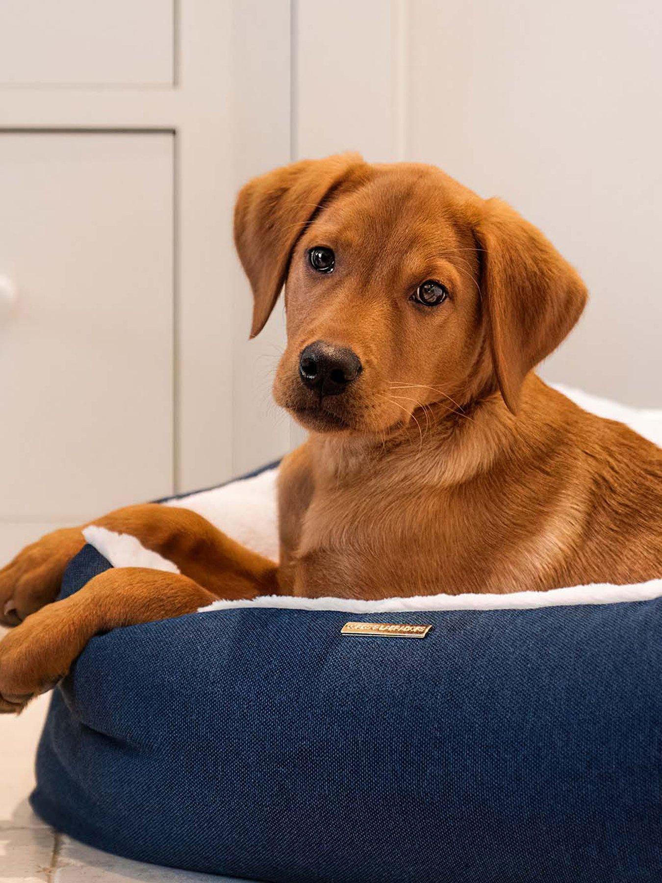 Image 4 of 5 of Lords and Labradors L&amp;L Twill Box Bed including inner Denim L
