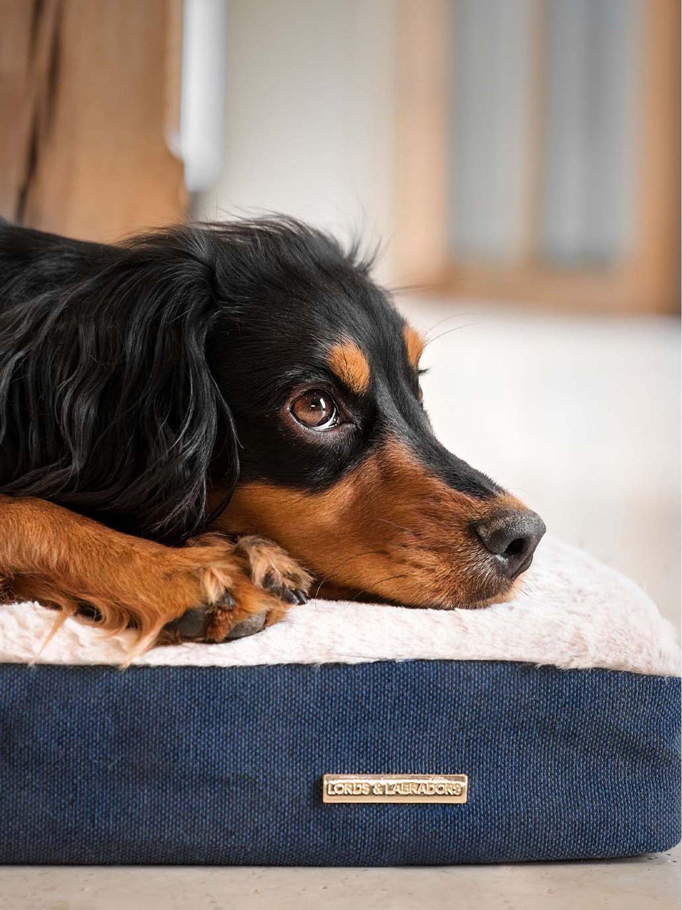 Image 3 of 4 of Lords and Labradors Lords &amp; Labradors Essentials Twill Orthopaedic Mattress Denim M