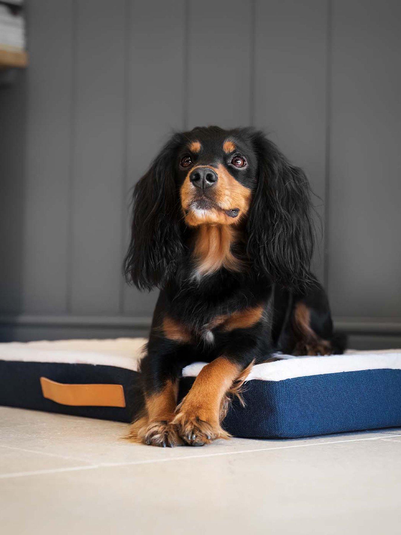 Image 4 of 4 of Lords and Labradors Lords &amp; Labradors Essentials Twill Orthopaedic Mattress Denim M