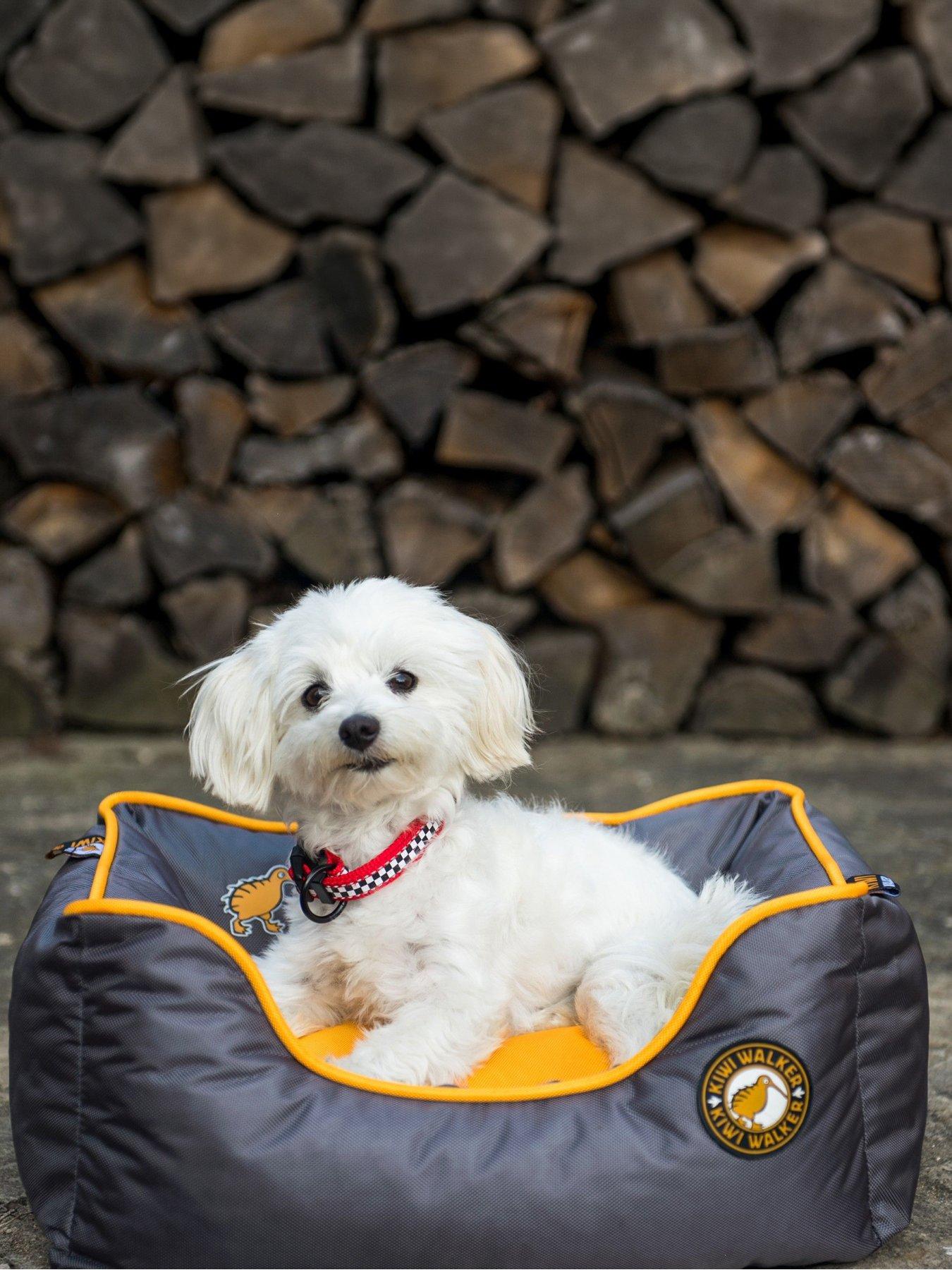  image of kiwi-walker-orange-running-border-bed-l