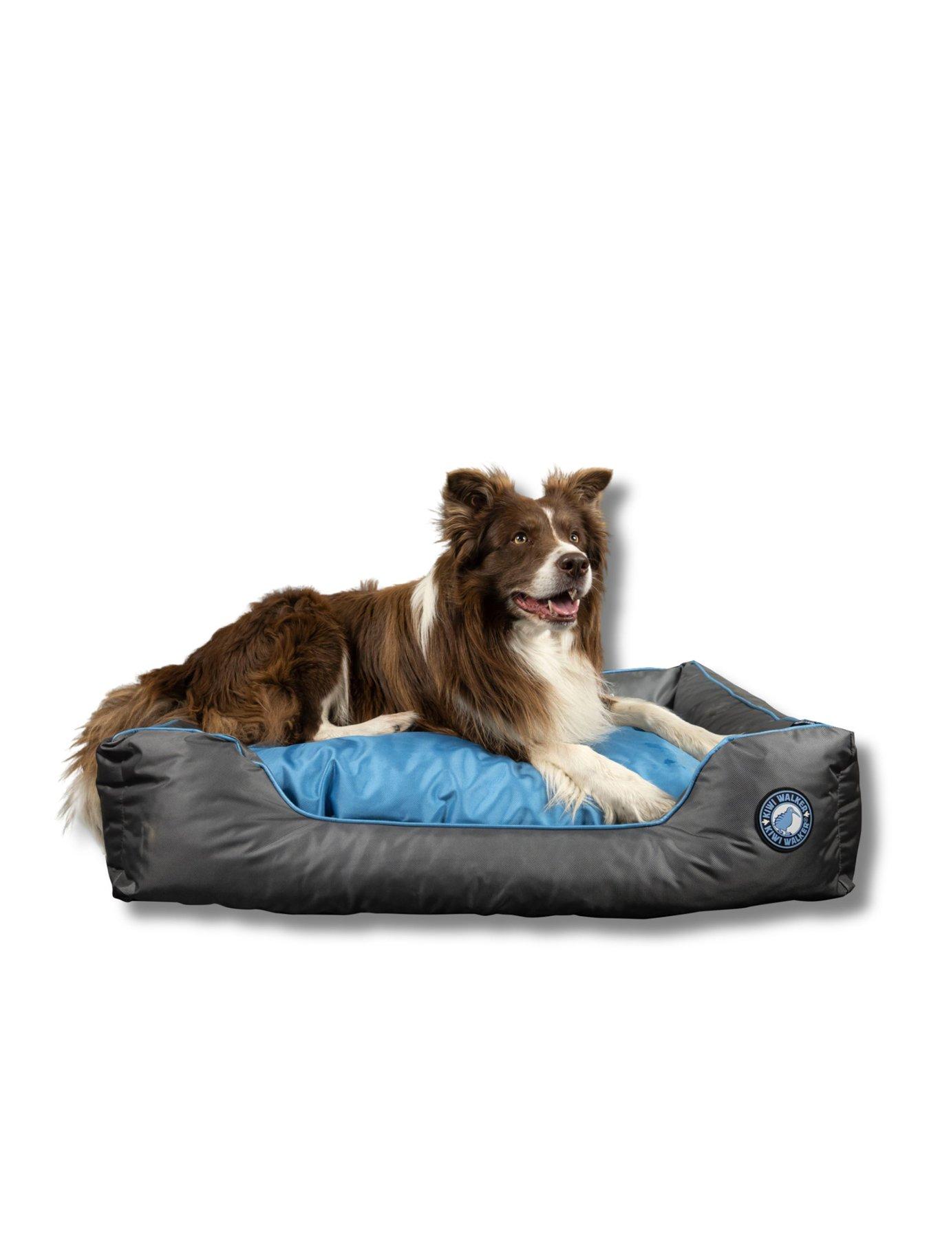 back image of kiwi-walker-blue-running-border-bed-xl