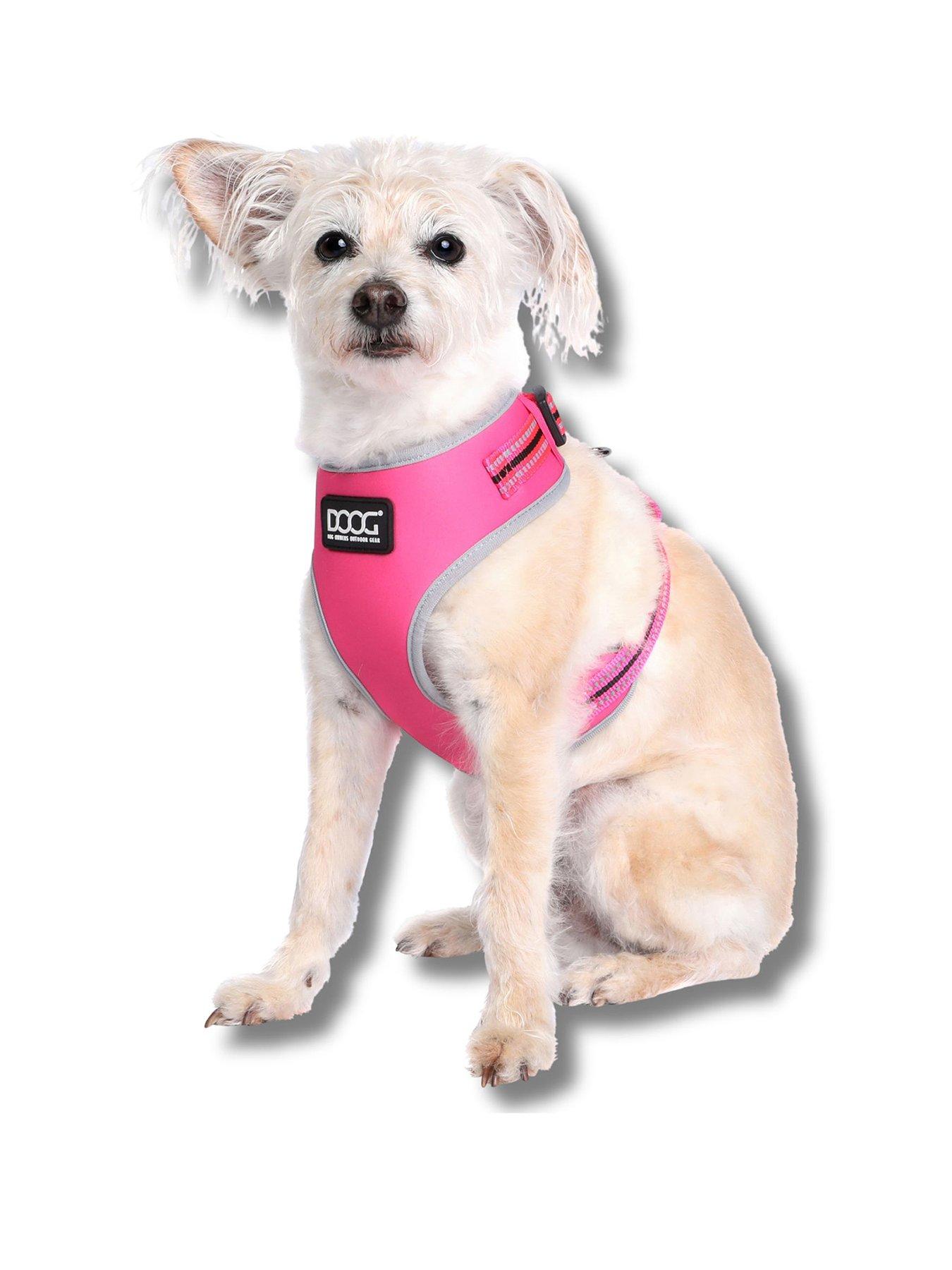front image of doog-doog-neoflex-dog-harness-lady-medium