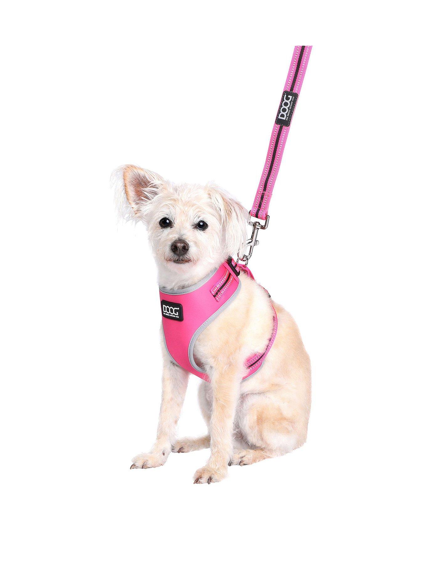 Doog DOOG Neoflex Dog Harness LADY - Large With Clipit Lead