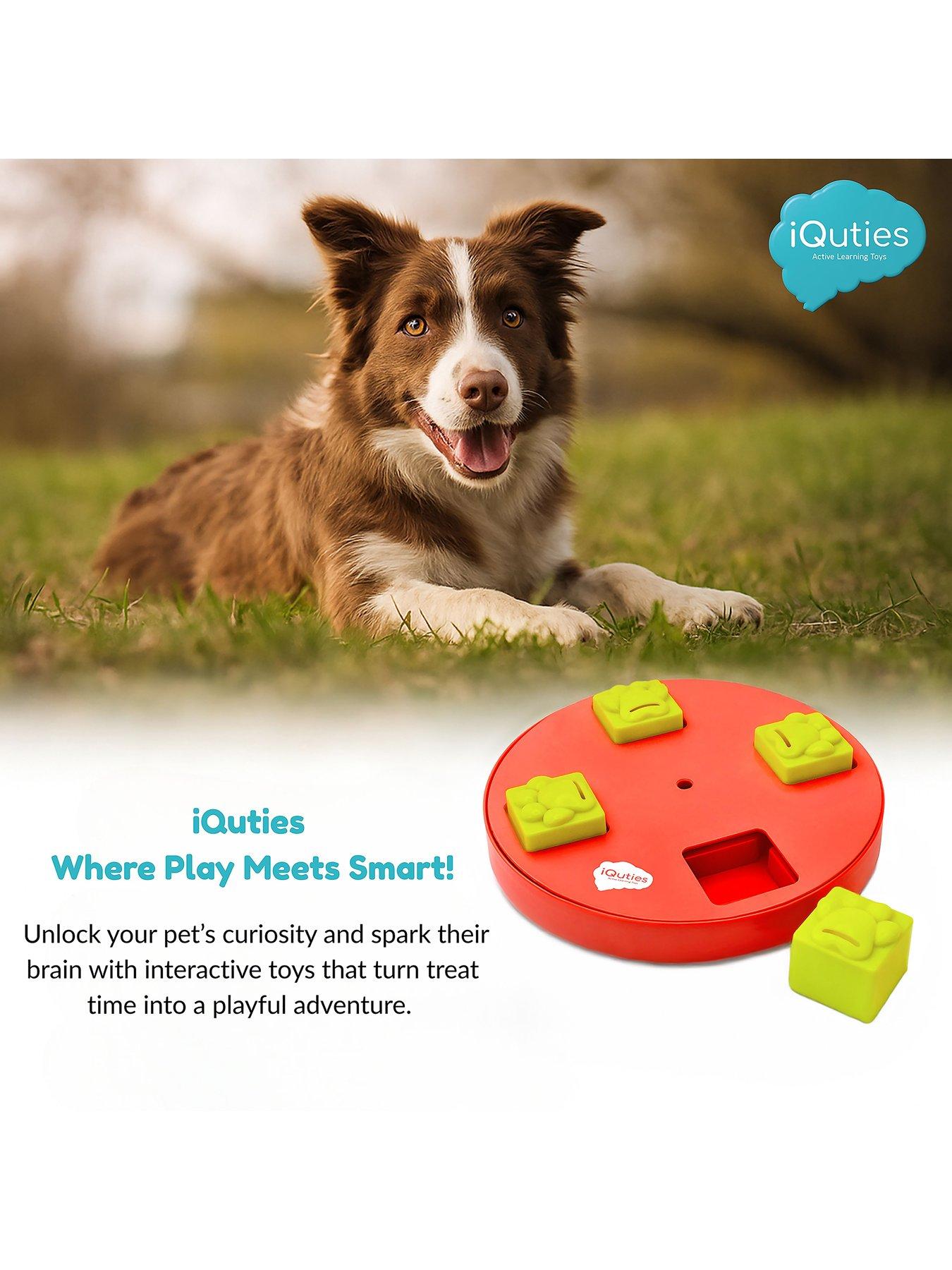 Image 5 of 5 of iQuties Treat Wheel IQ Toy