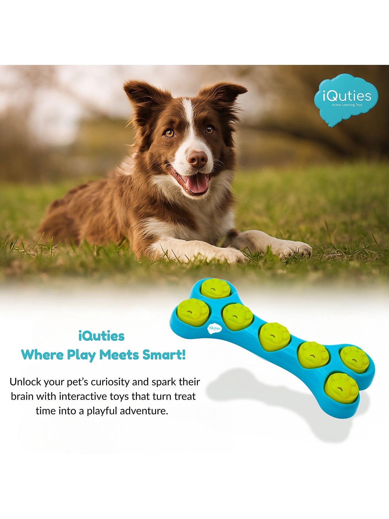 Image 5 of 5 of iQuties Bone Hide IQ Toy