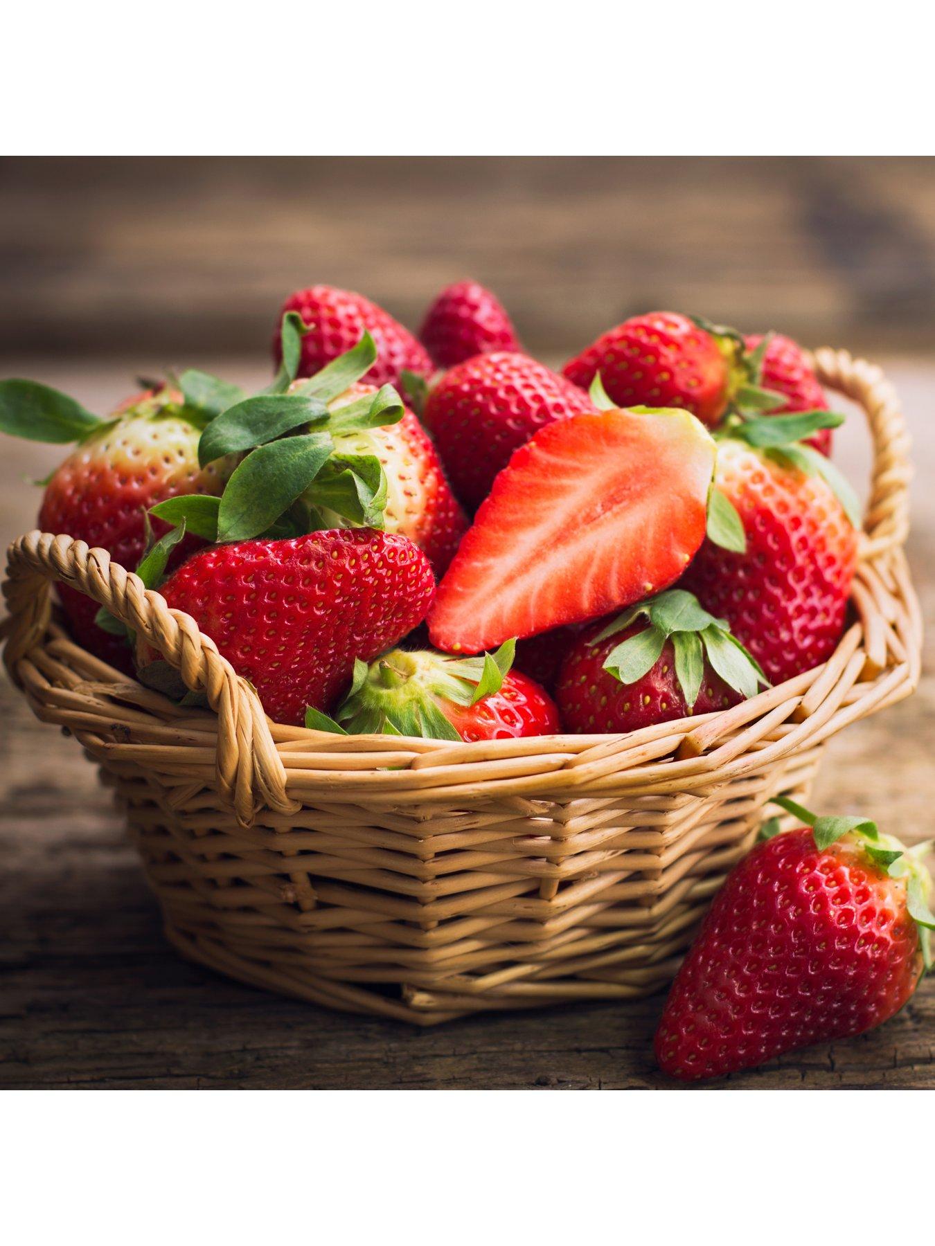 Image 2 of 4 of You Garden Strawberry Everbearer 'Sweet Summer' (20 Runners)