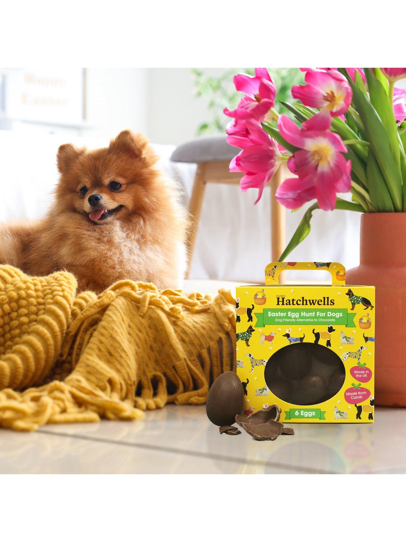  image of hatchwells-dog-easter-chocolate-2-pack