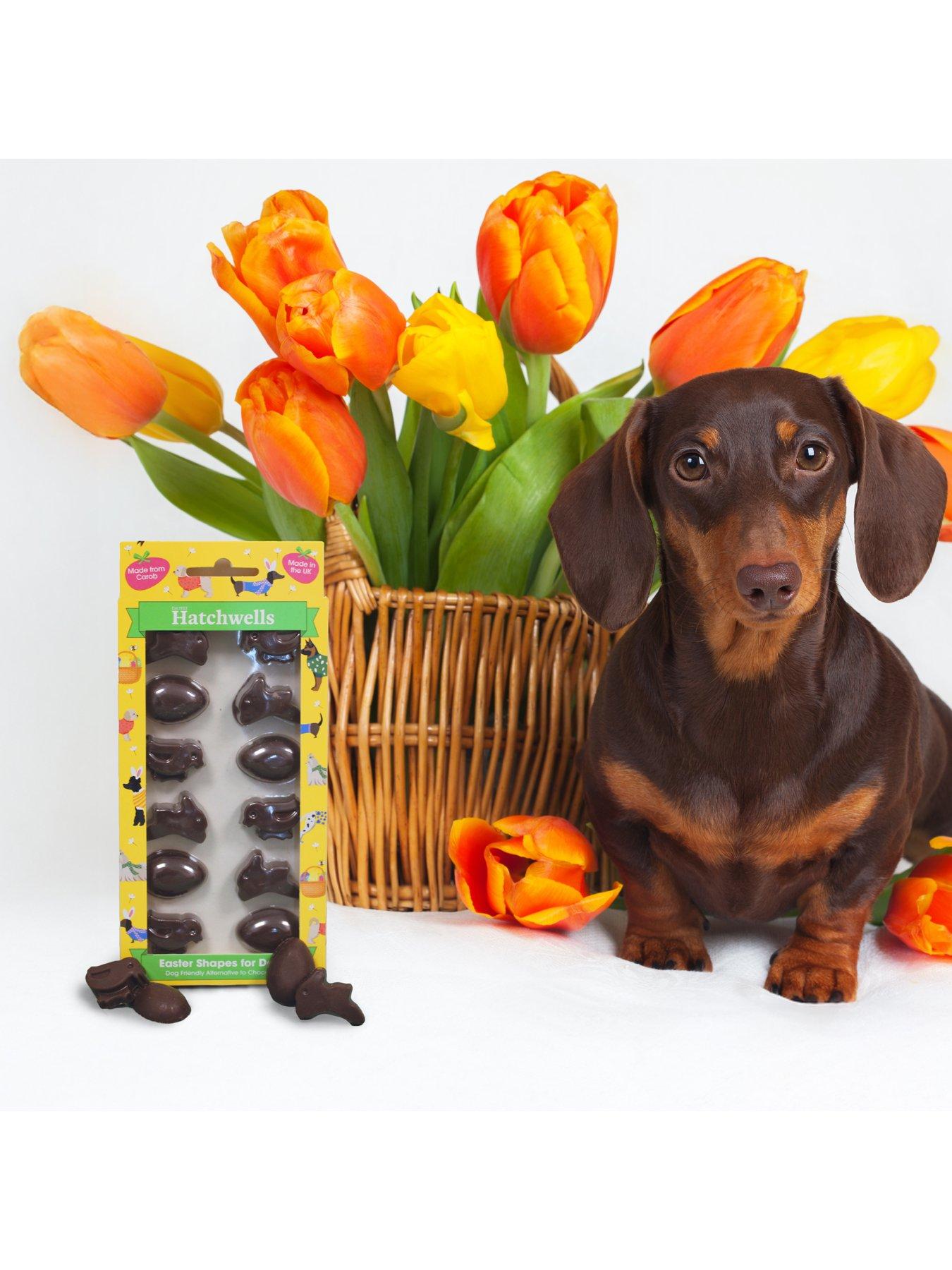  image of hatchwells-dog-easter-chocolate-2-pack