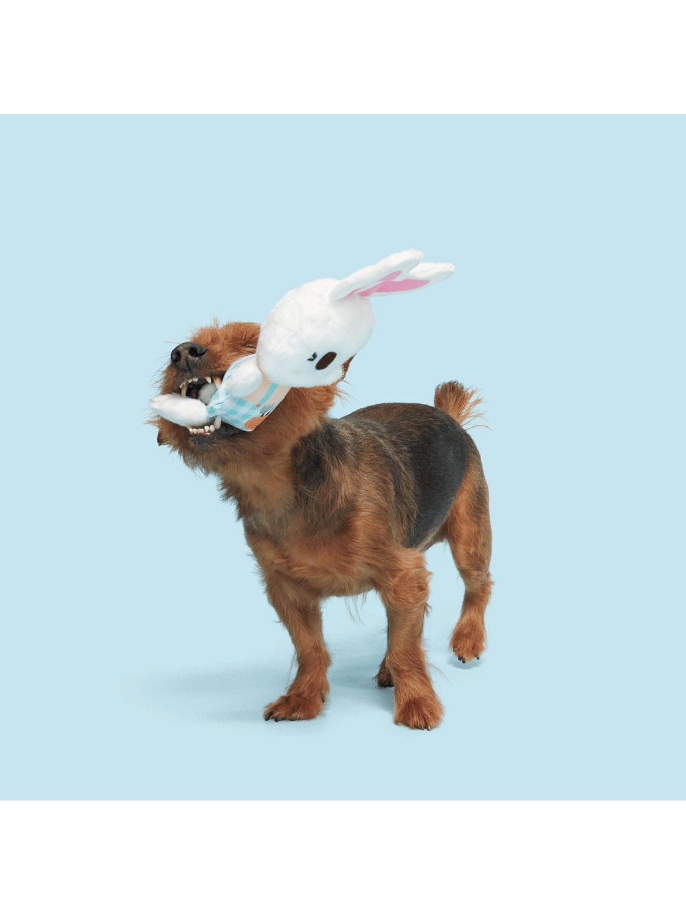 Image 6 of 6 of Bark Lil Hennifer/Green Thumb Bun Dog Toy Bundle