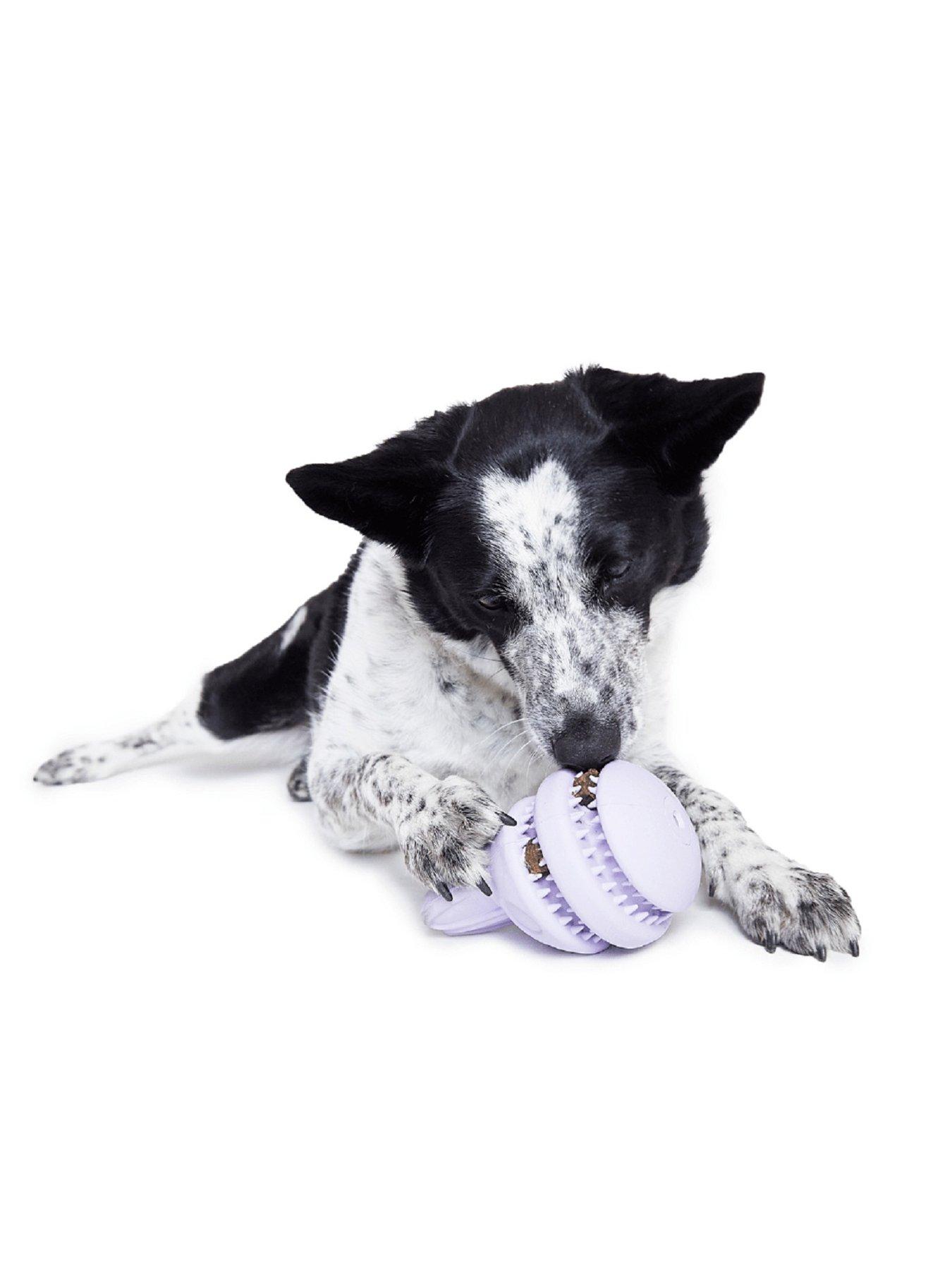  image of bark-hippie-hopper-dog-toy