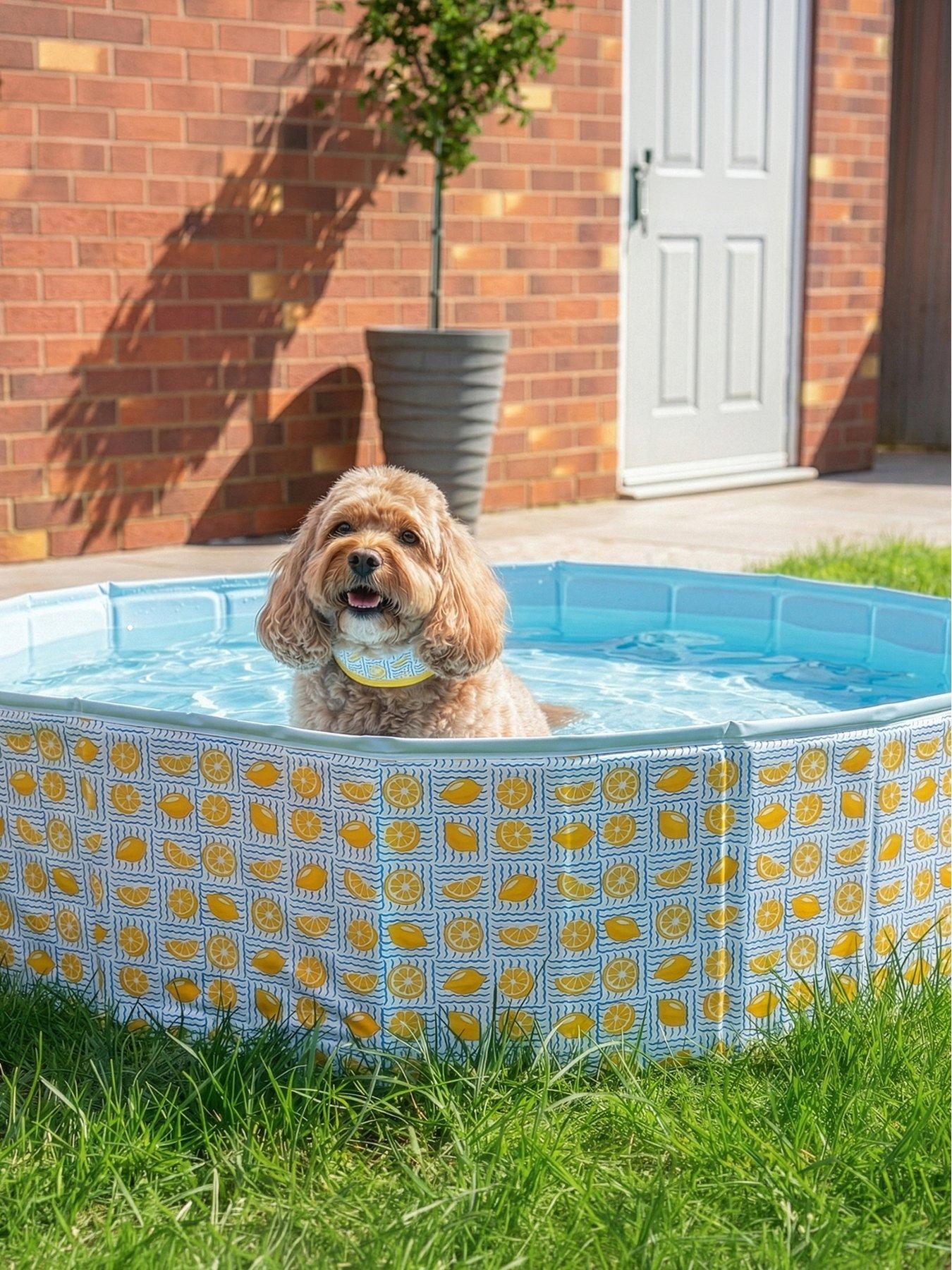 Rosewood Paddling Pool - Lemon Print