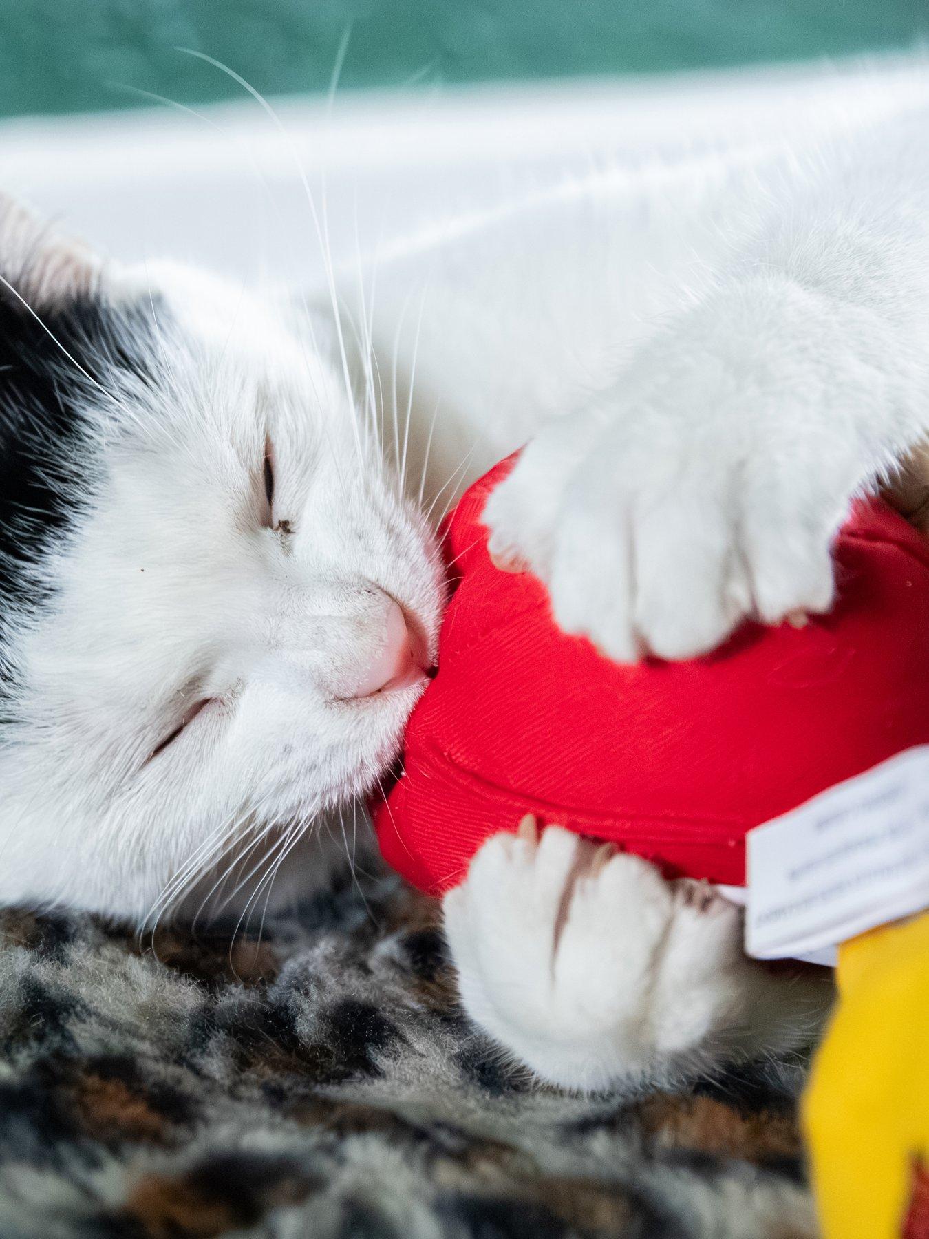  image of yeowww-apple-grab-toy