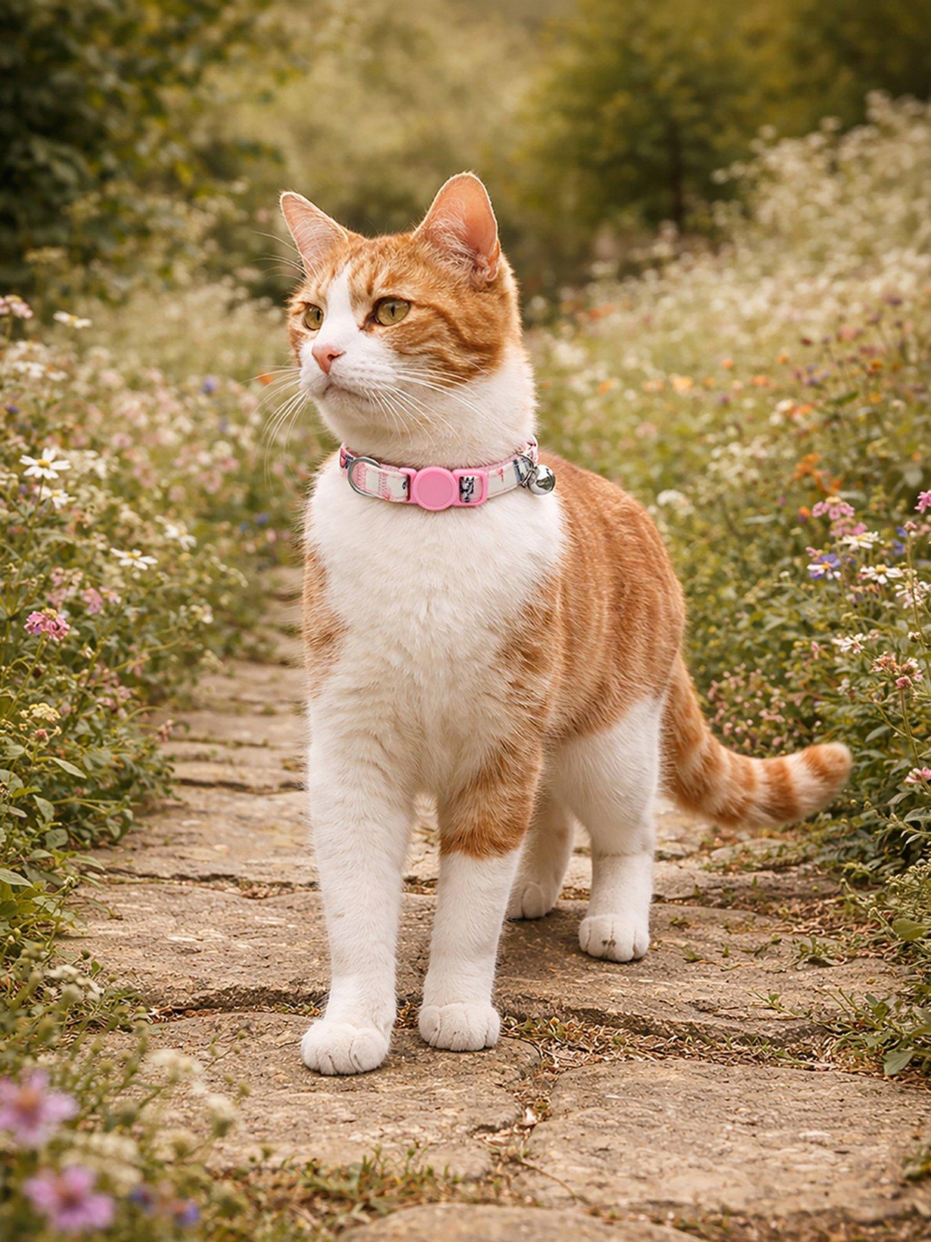 Image 1 of 2 of Cath Kidston Cowgirl Cat Collar