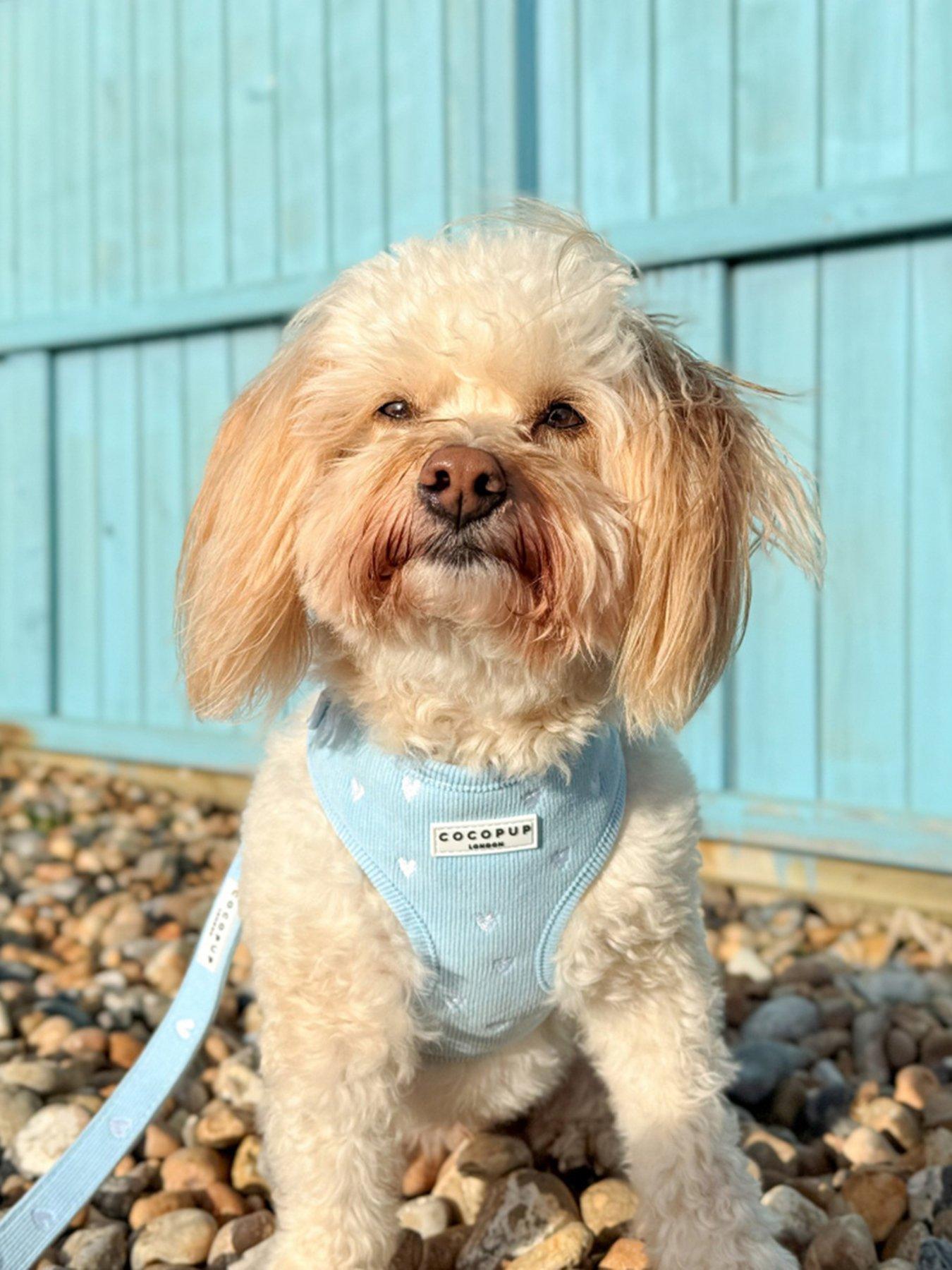 Image 1 of 3 of Cocopup Blue Heartstrings Cord Adjustable Neck Harness