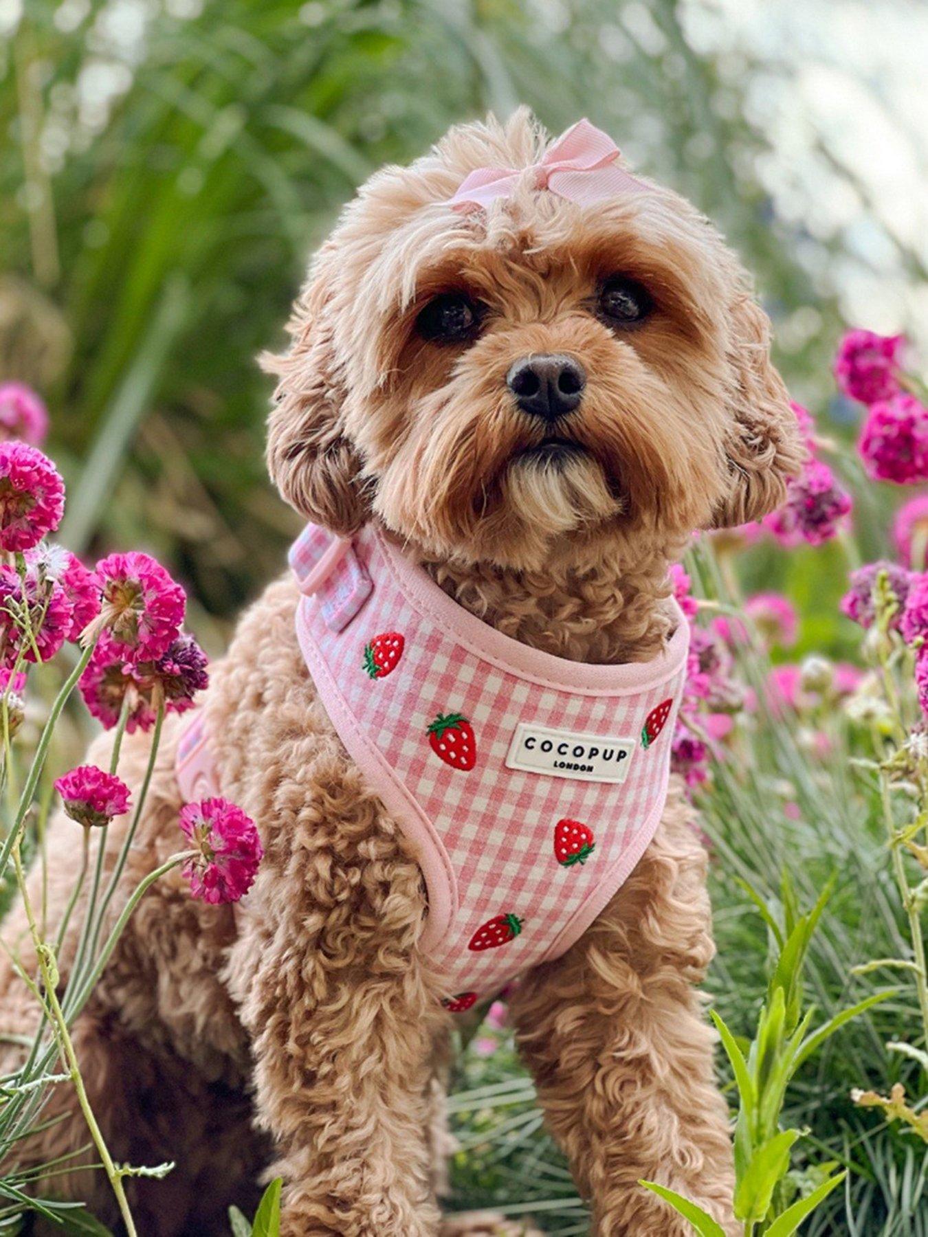 Image 1 of 3 of Cocopup Strawberry Picnic Pup Adjustable Harness