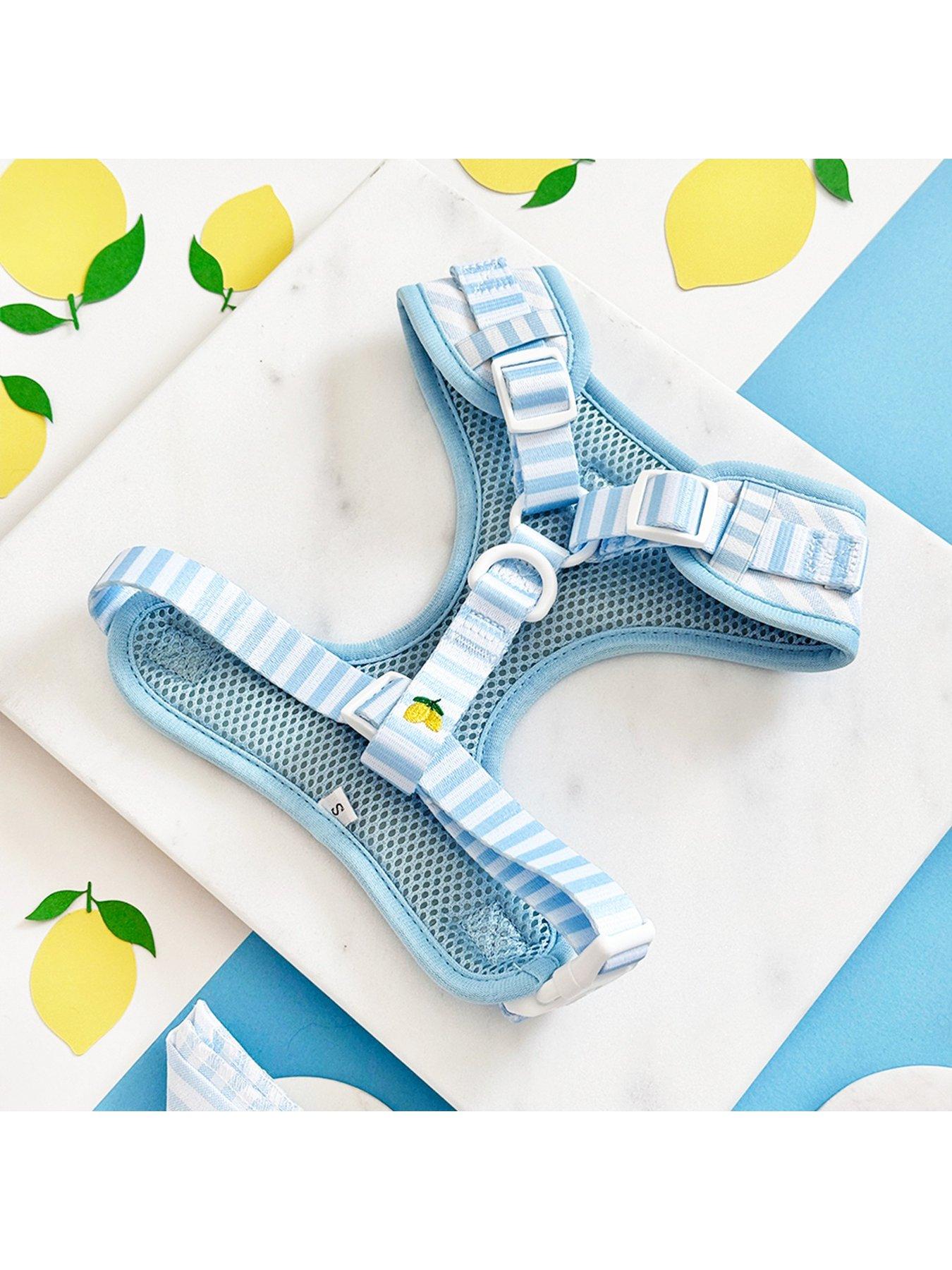 Image 3 of 3 of Cocopup Living La Vida Lemon Adjustable Neck Harness