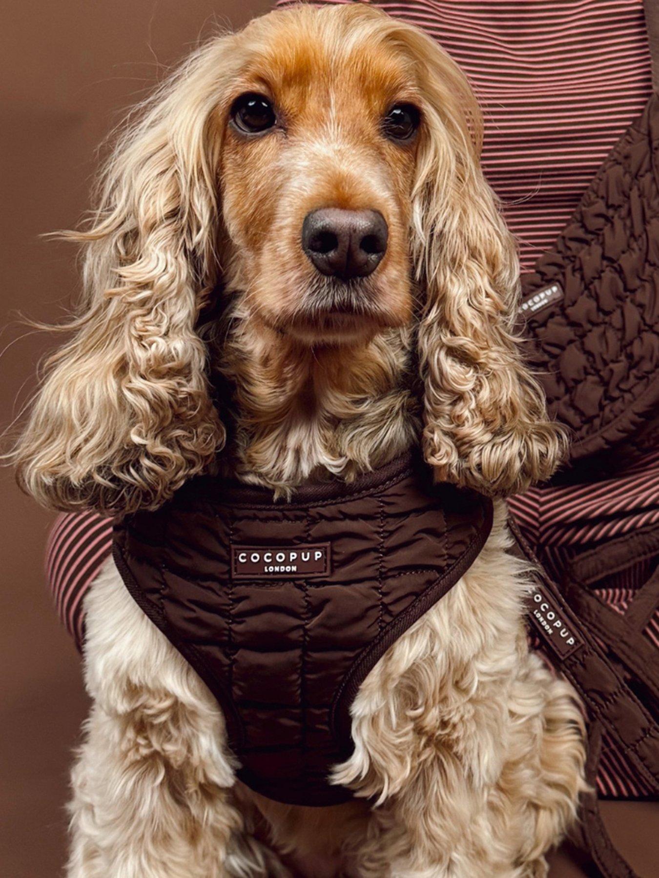 Image 1 of 3 of Cocopup Espresso Quilted Adjustable Neck Harness