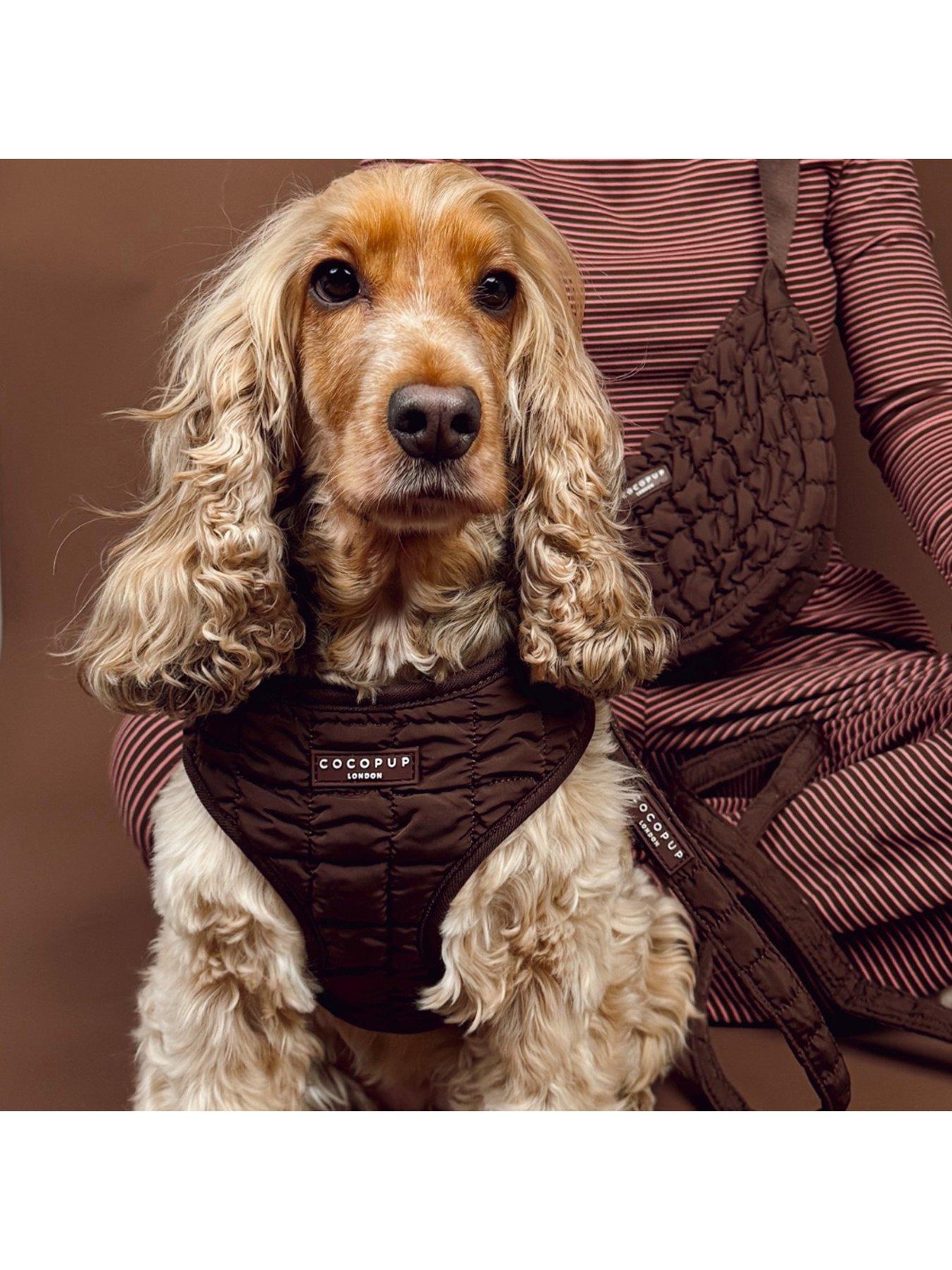 Image 3 of 3 of Cocopup Espresso Quilted Adjustable Neck Harness