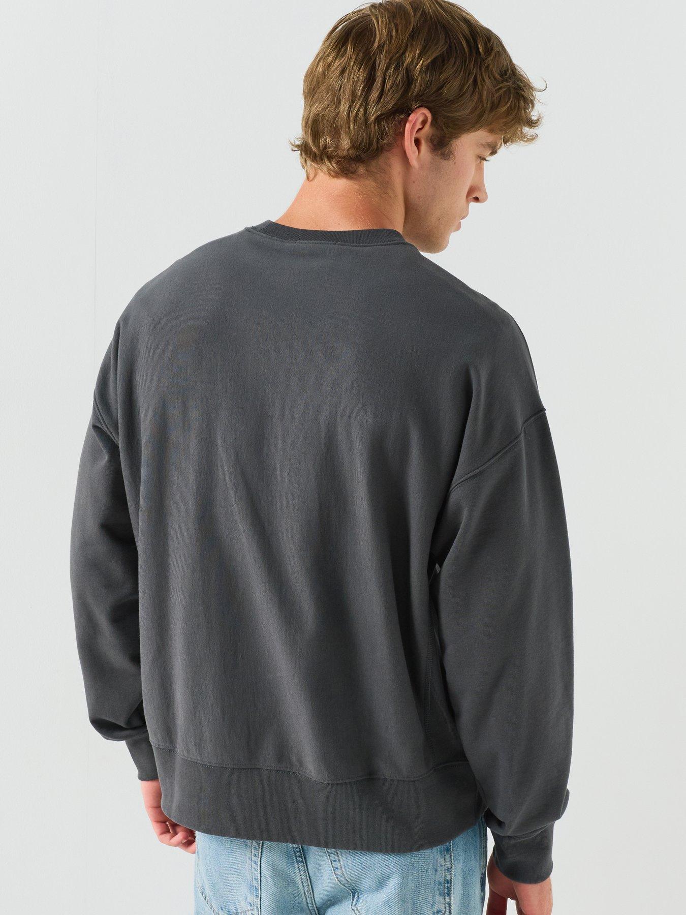 Image 2 of 6 of Calvin Klein Jeans Premium Terry Painted Monologo Crew Sweat - Grey