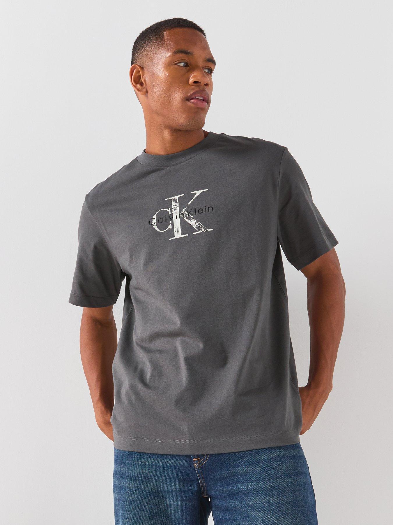 Image 5 of 6 of Calvin Klein Jeans 20s Distressed Monologo T-Shirt - Grey