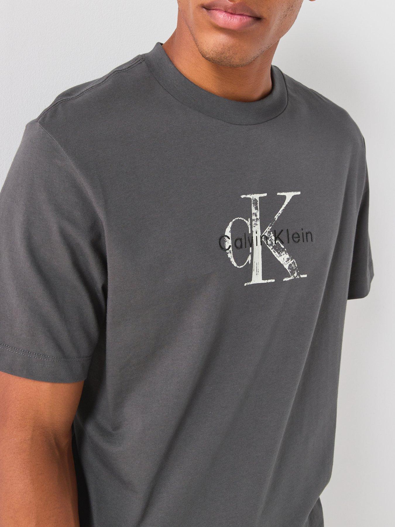 Image 6 of 6 of Calvin Klein Jeans 20s Distressed Monologo T-Shirt - Grey