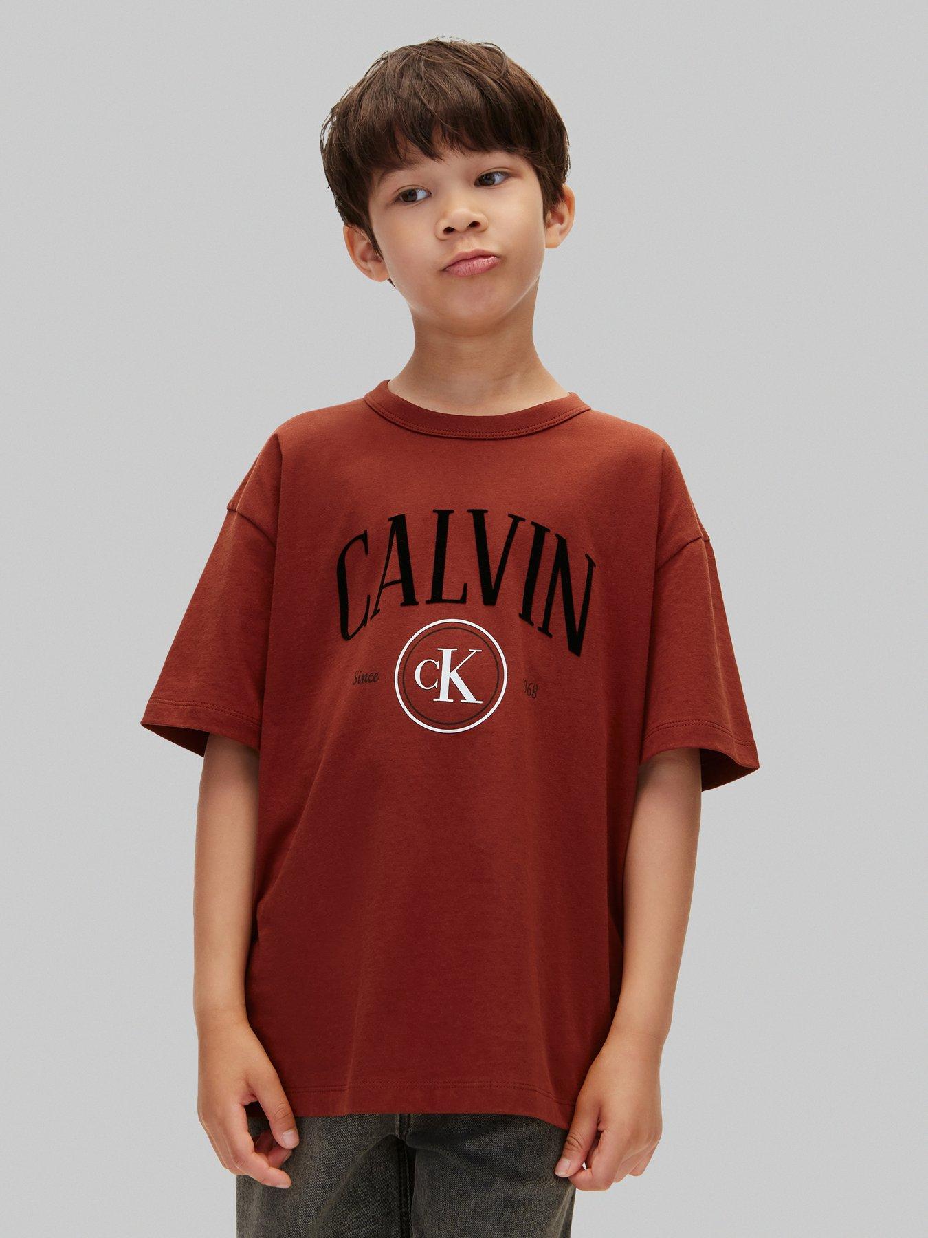 Calvin Klein Jeans Boys Ck Circle Short Sleeve T-Shirt - Brown