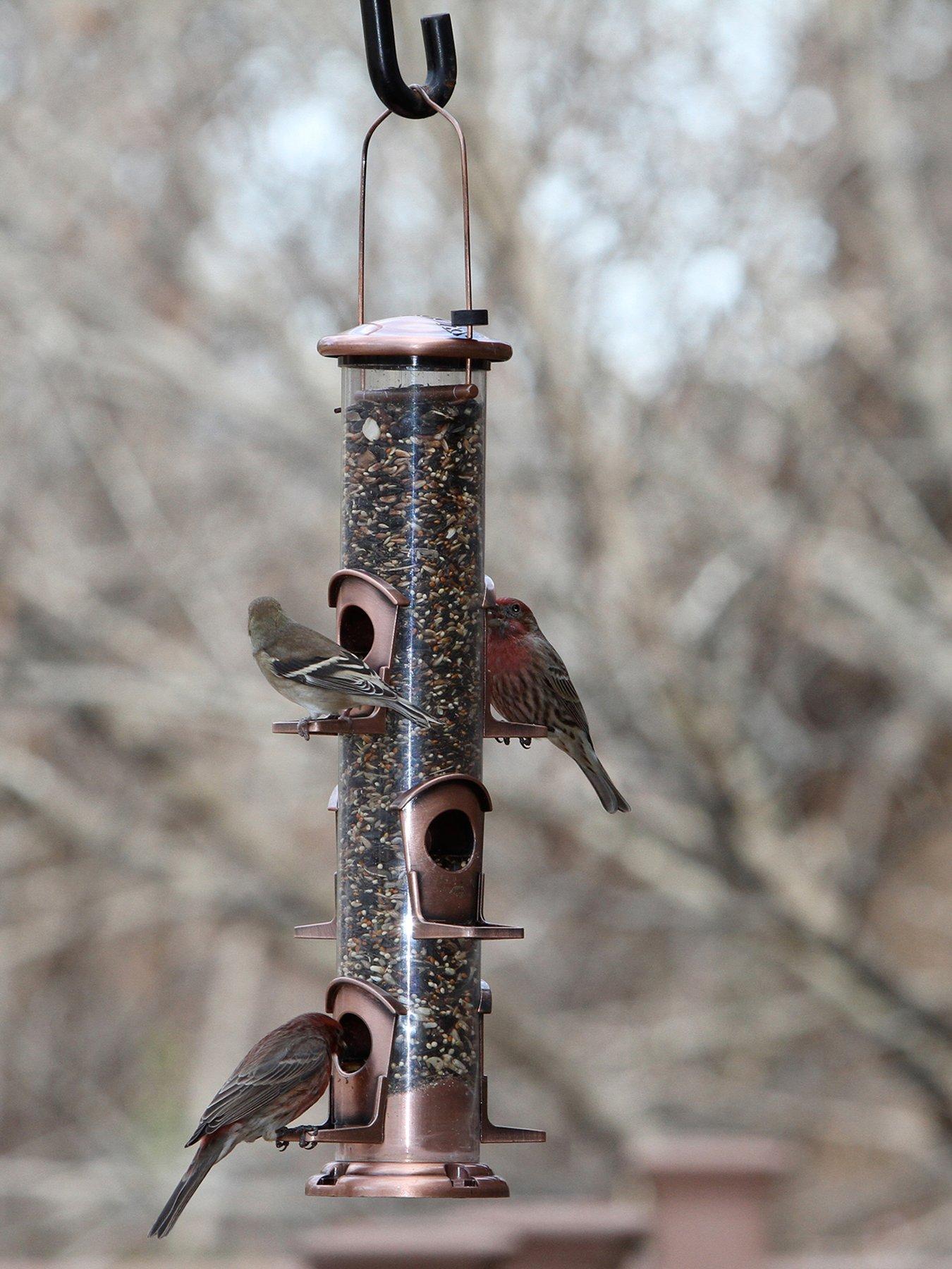 Image 1 of 2 of Panacea Brushed Copper 6-Port Seed Feeder
