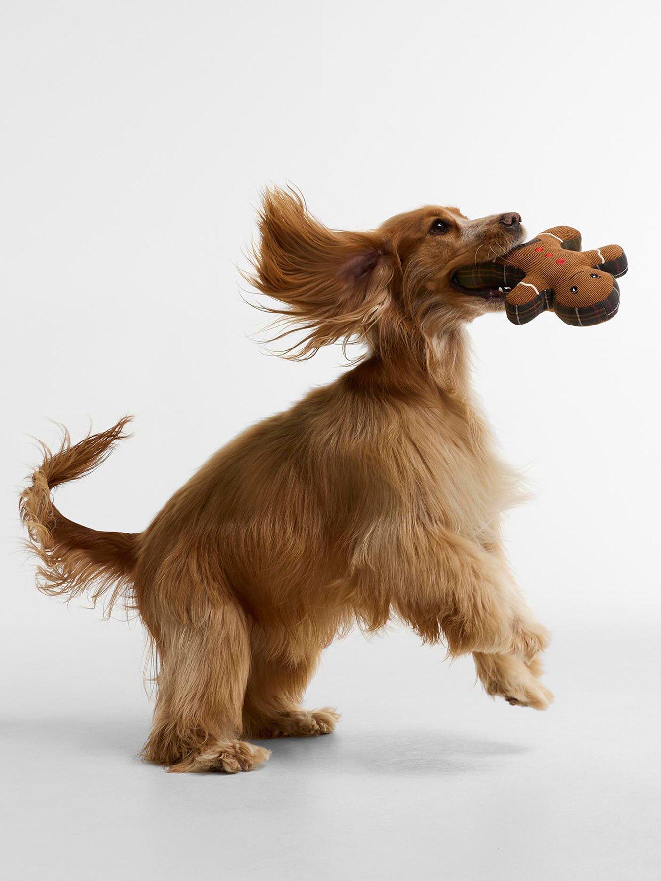 Image 3 of 4 of Barbour Dog Christmas Gingerbread Toy - Brown
