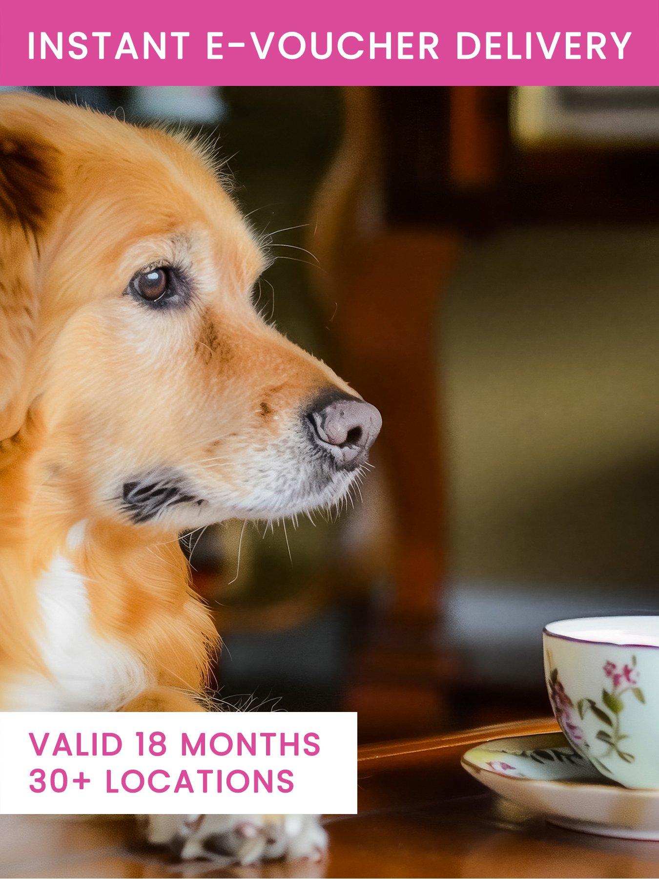 Activity Superstore Afternoon Tea for Two - Dog Friendly Venues