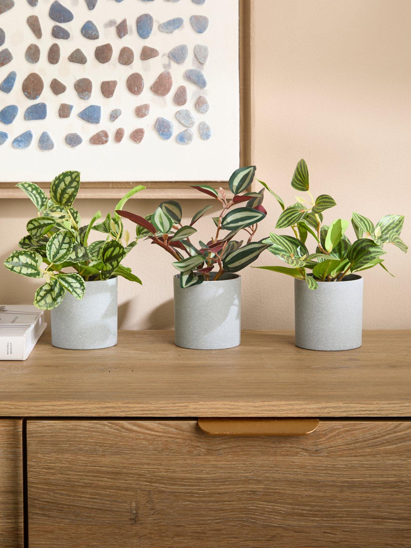 The Very Collection Set Of 3 Mini Trailing Plants In Grey Pots